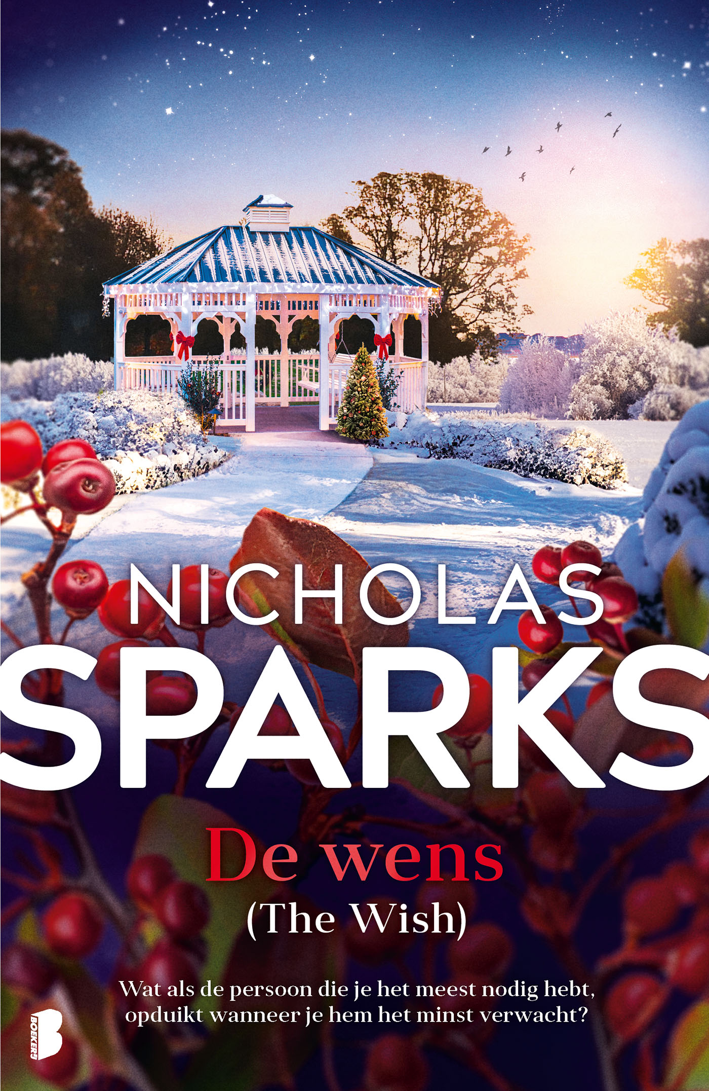 Omslag van De wens