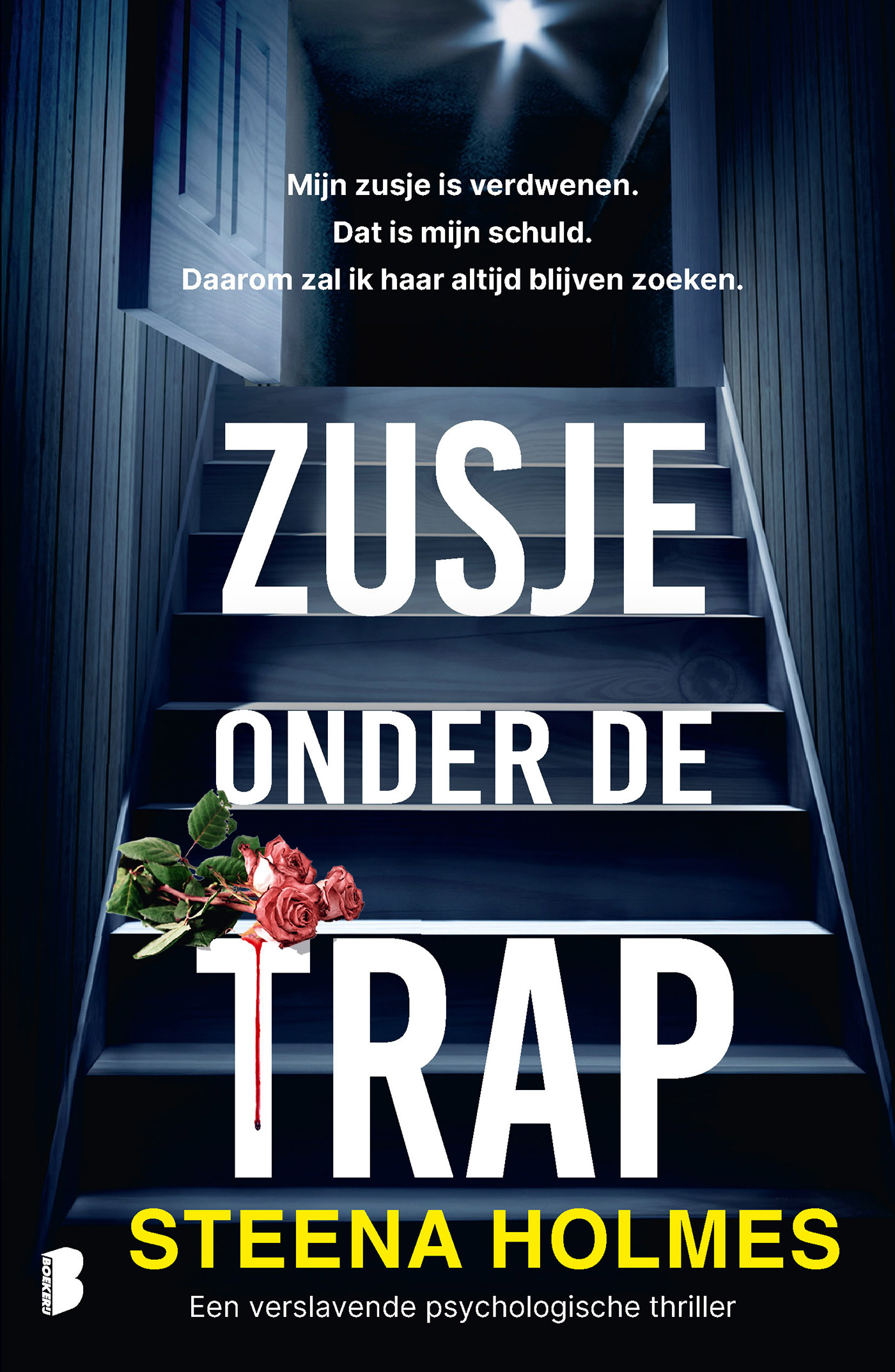 Omslag van Zusje onder de trap