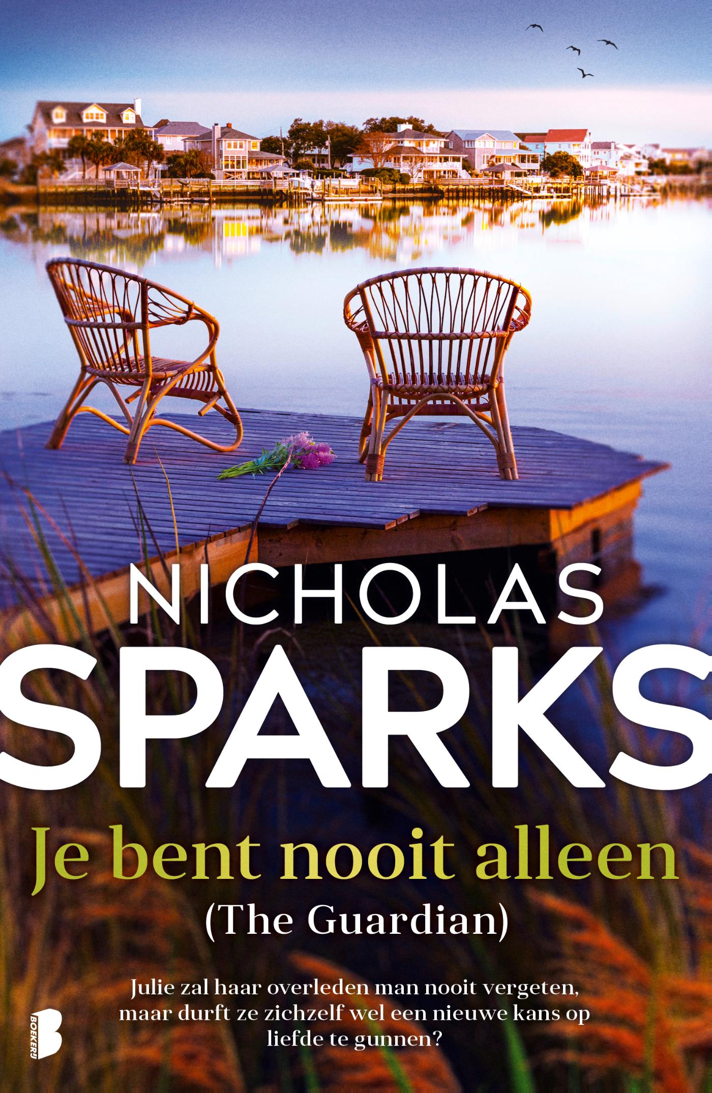 Omslag van Je bent nooit alleen