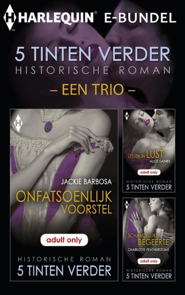 Omslag van 5 Tinten Verder historische roman e-bundel - een trio