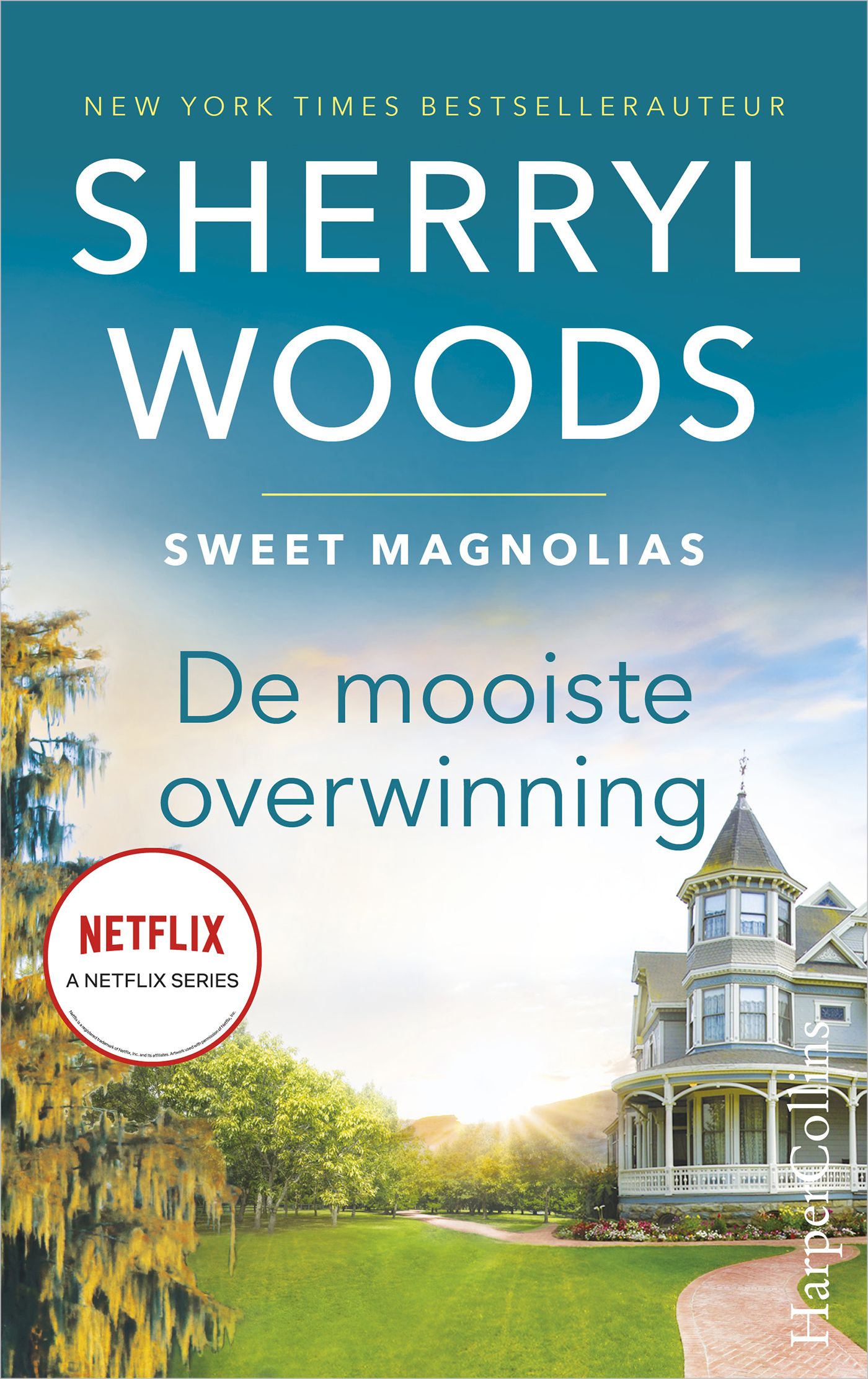 Omslag van De mooiste overwinning