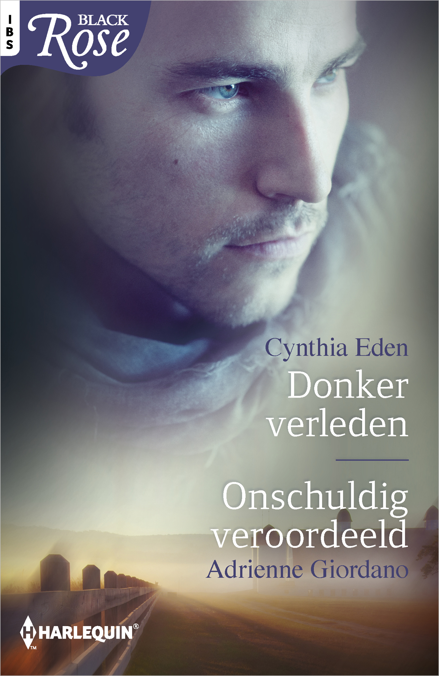 Omslag van Donker verleden ; Onschuldig veroordeeld (2-in-1)