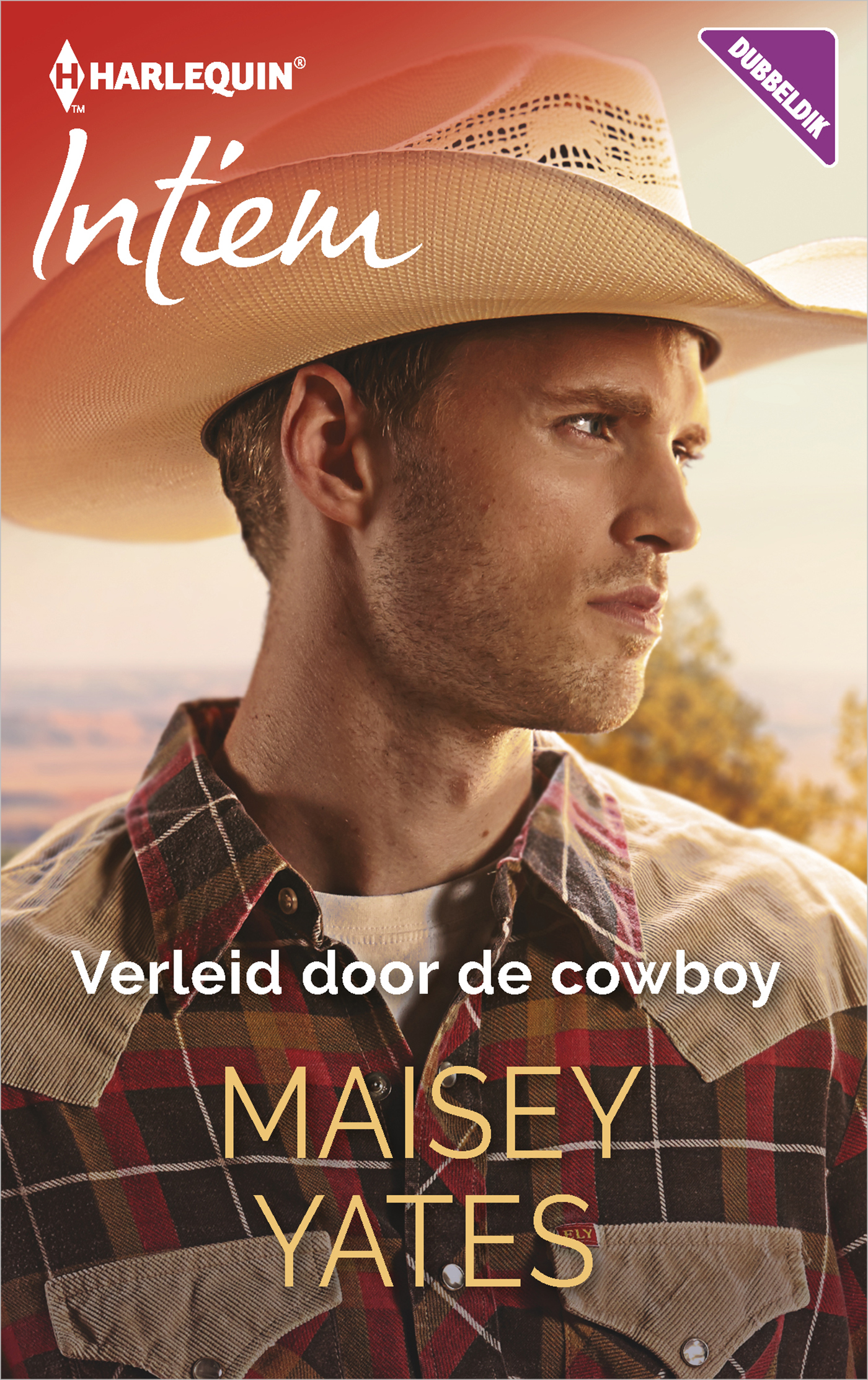 Omslag van Verleid door de cowboy