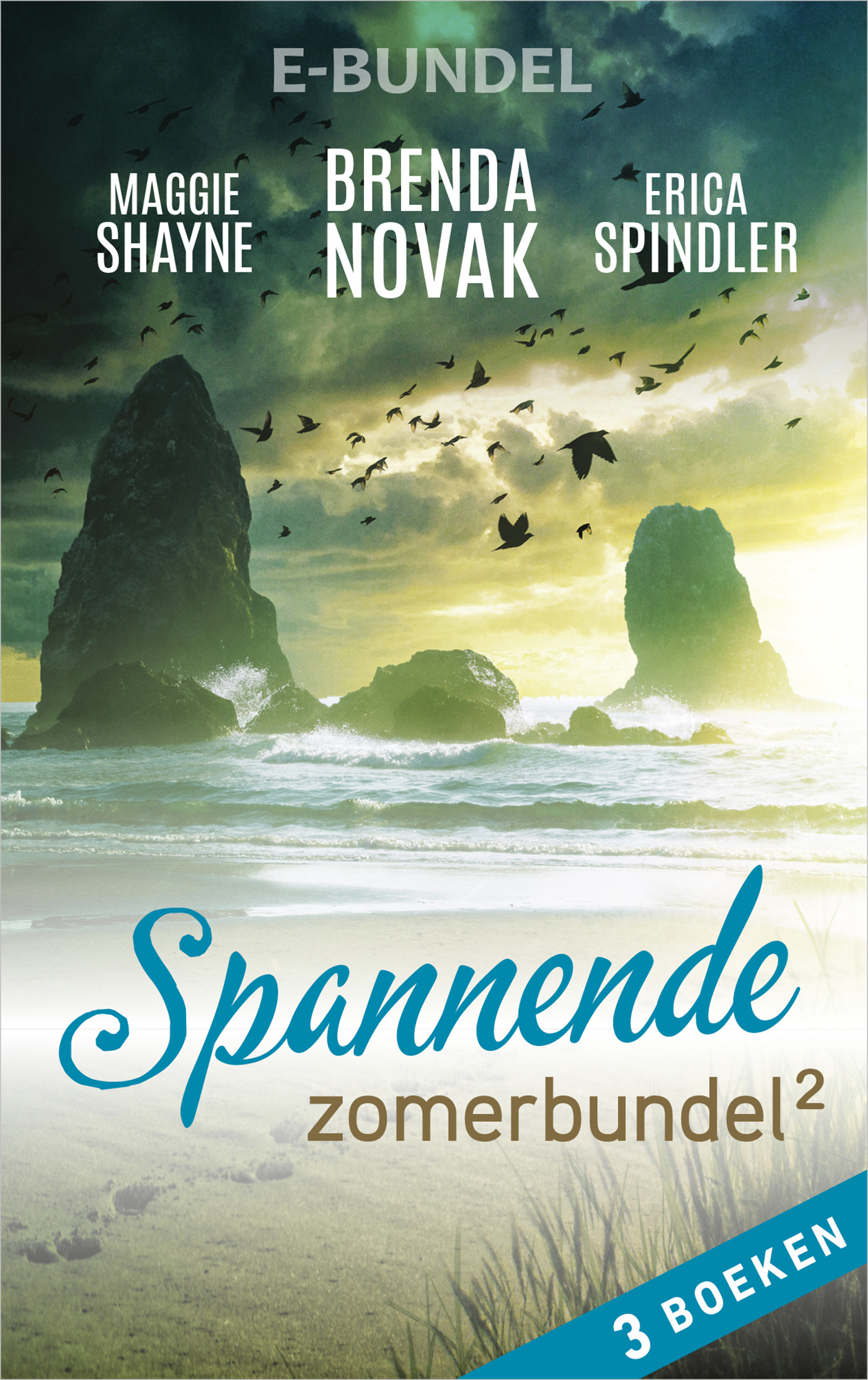 Omslag van Spannende zomerbundel 2