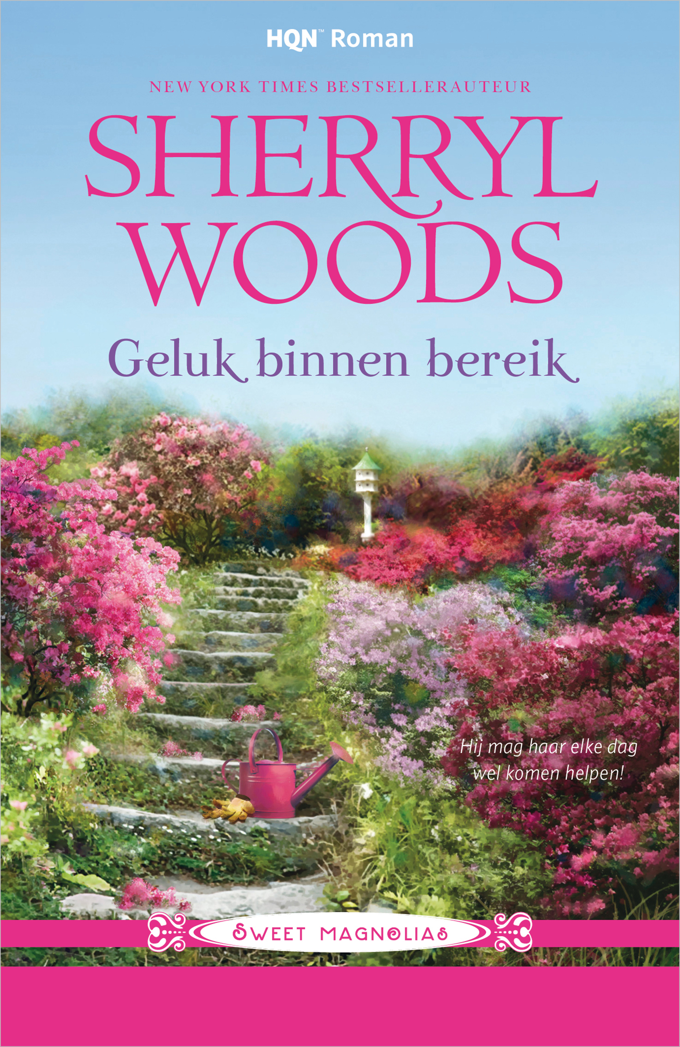 Omslag van Geluk binnen bereik