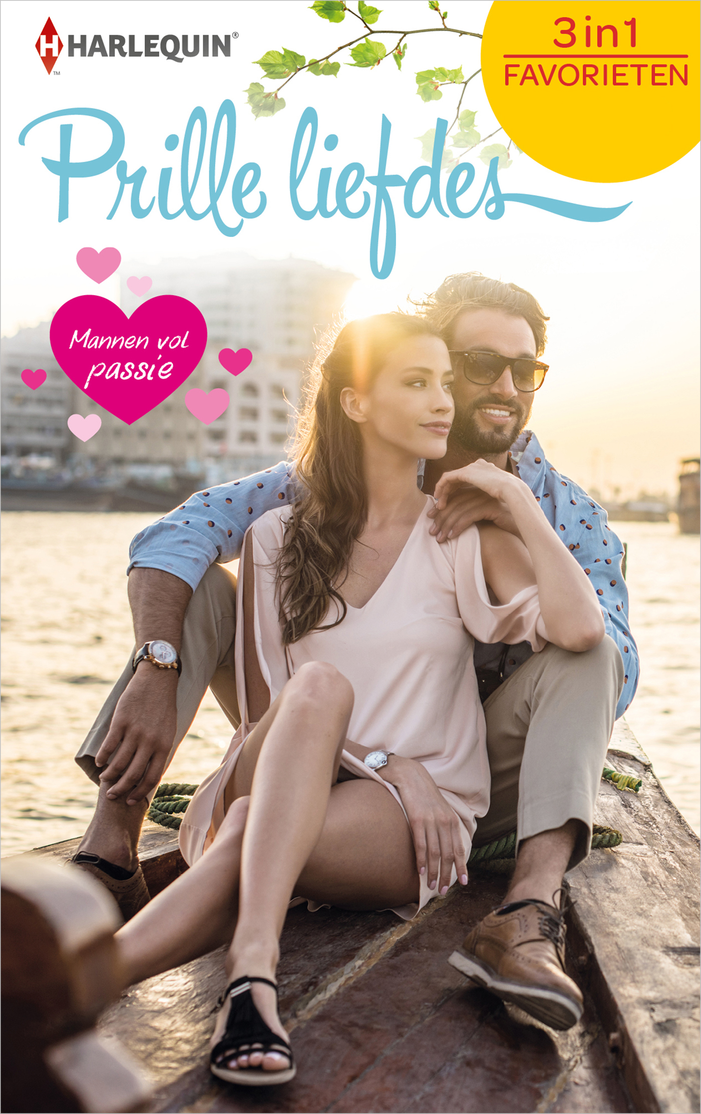 Omslag van Prille Liefdes - Mannen vol passie