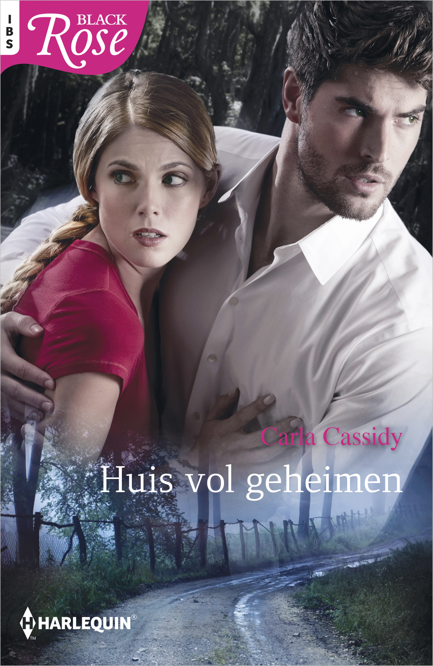 Omslag van Huis vol geheimen