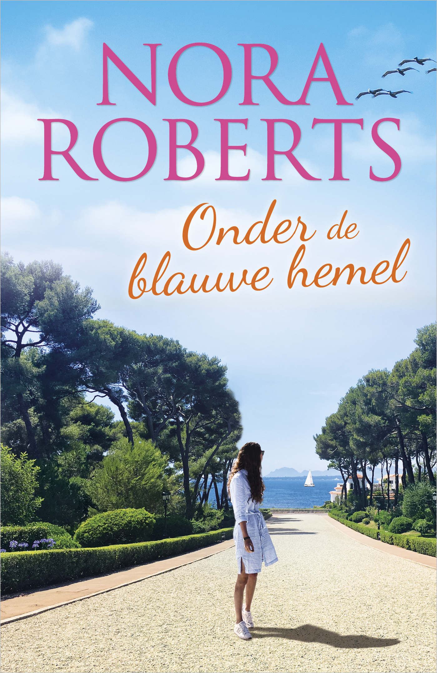 Omslag van Onder de blauwe hemel