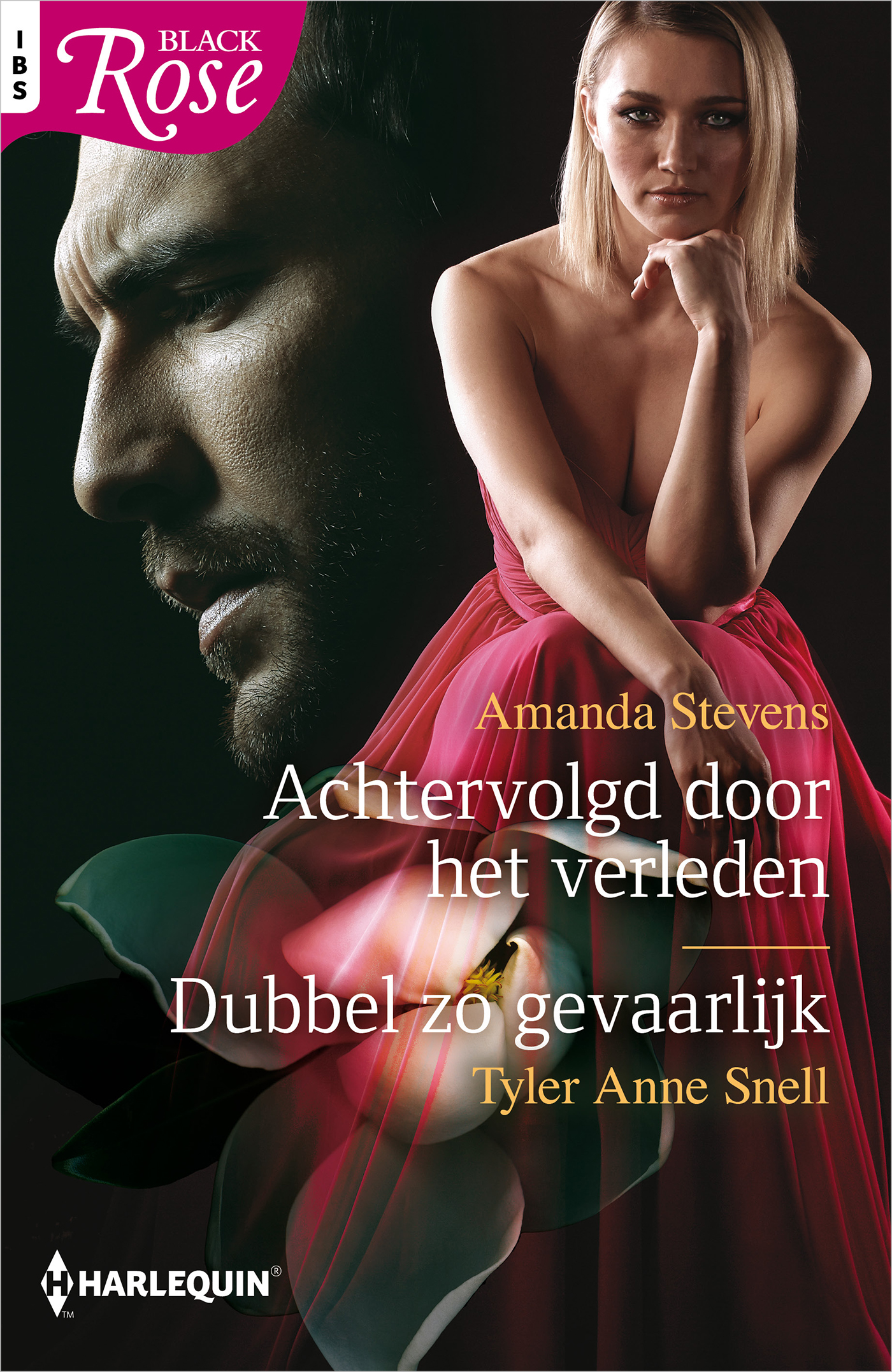 Omslag van Achtervolgd door het verleden / Dubbel zo gevaarlijk