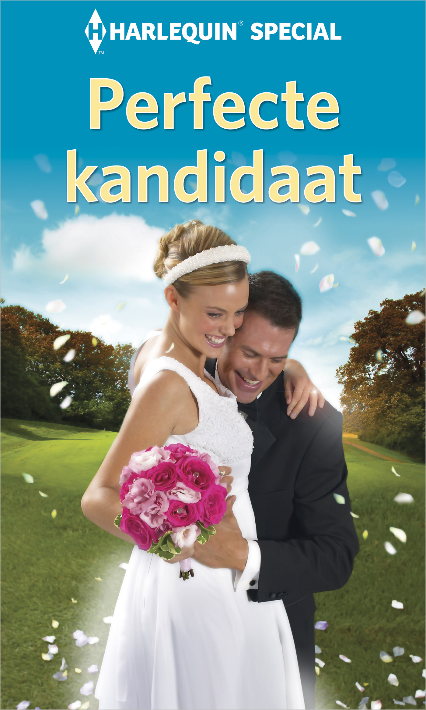 Omslag van Perfecte kandidaat