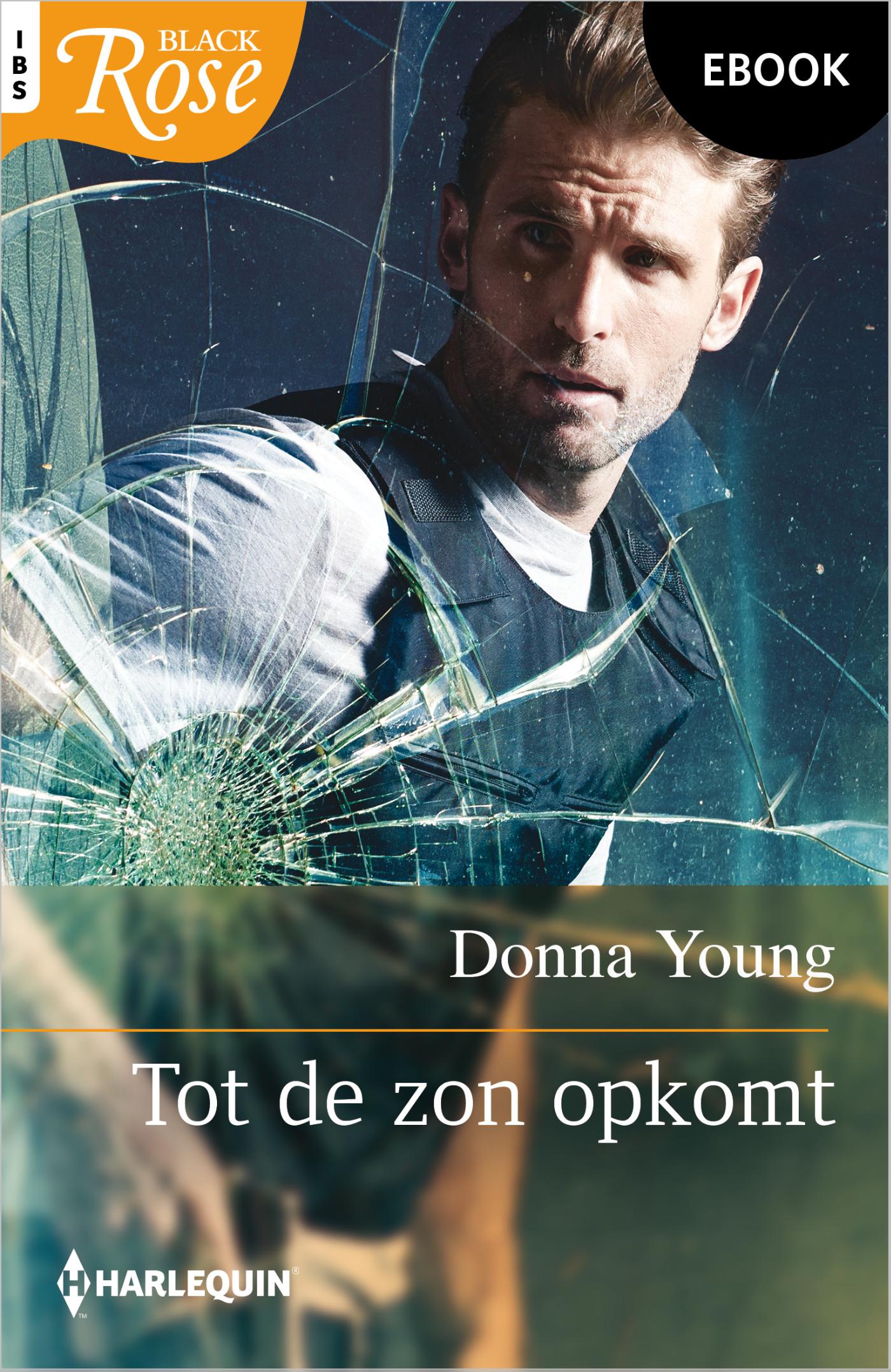 Omslag van Tot de zon opkomt