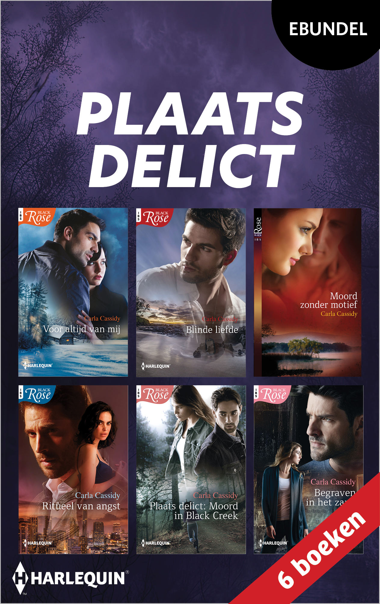 Omslag van Plaats delict
