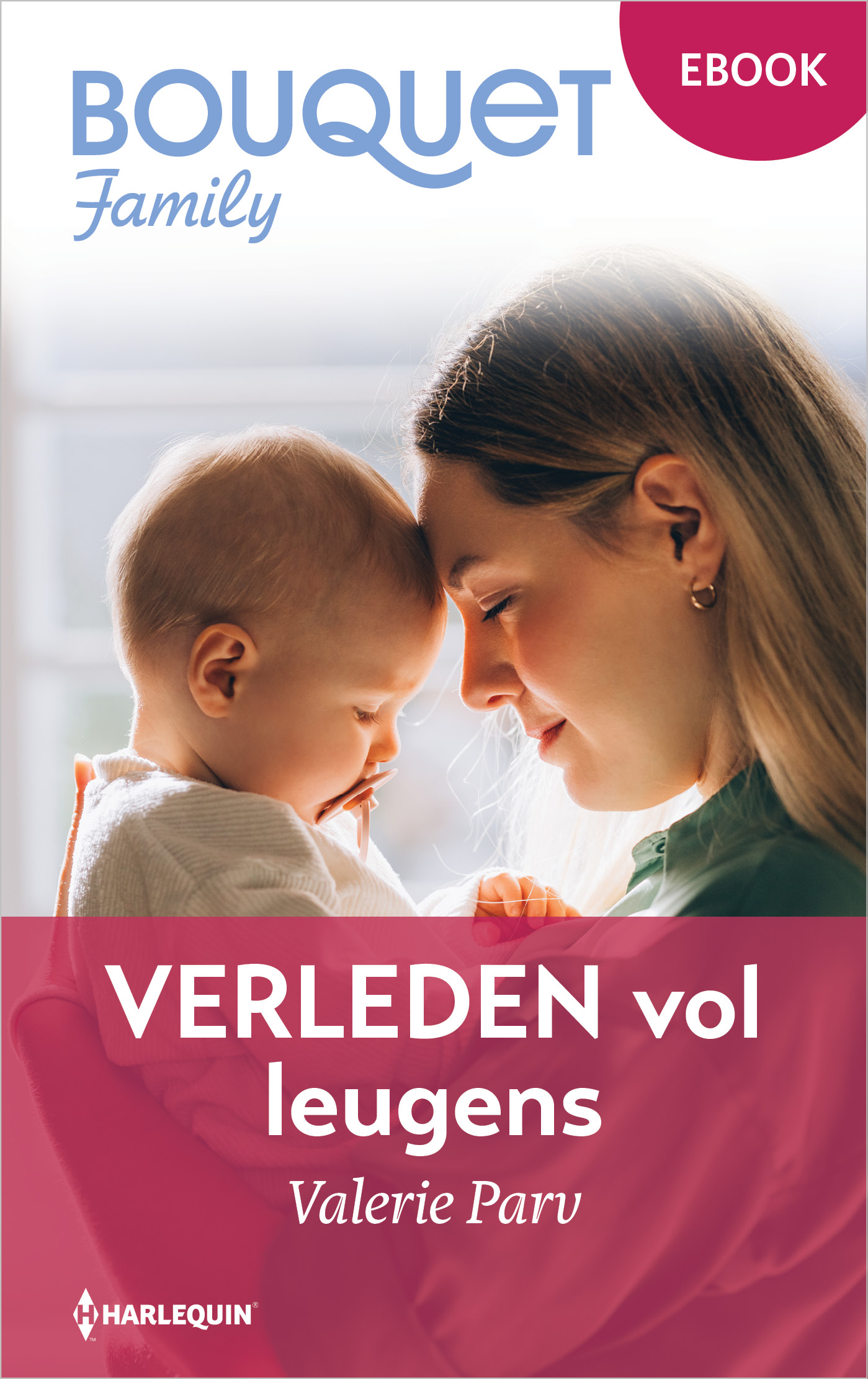 Omslag van Verleden vol leugens