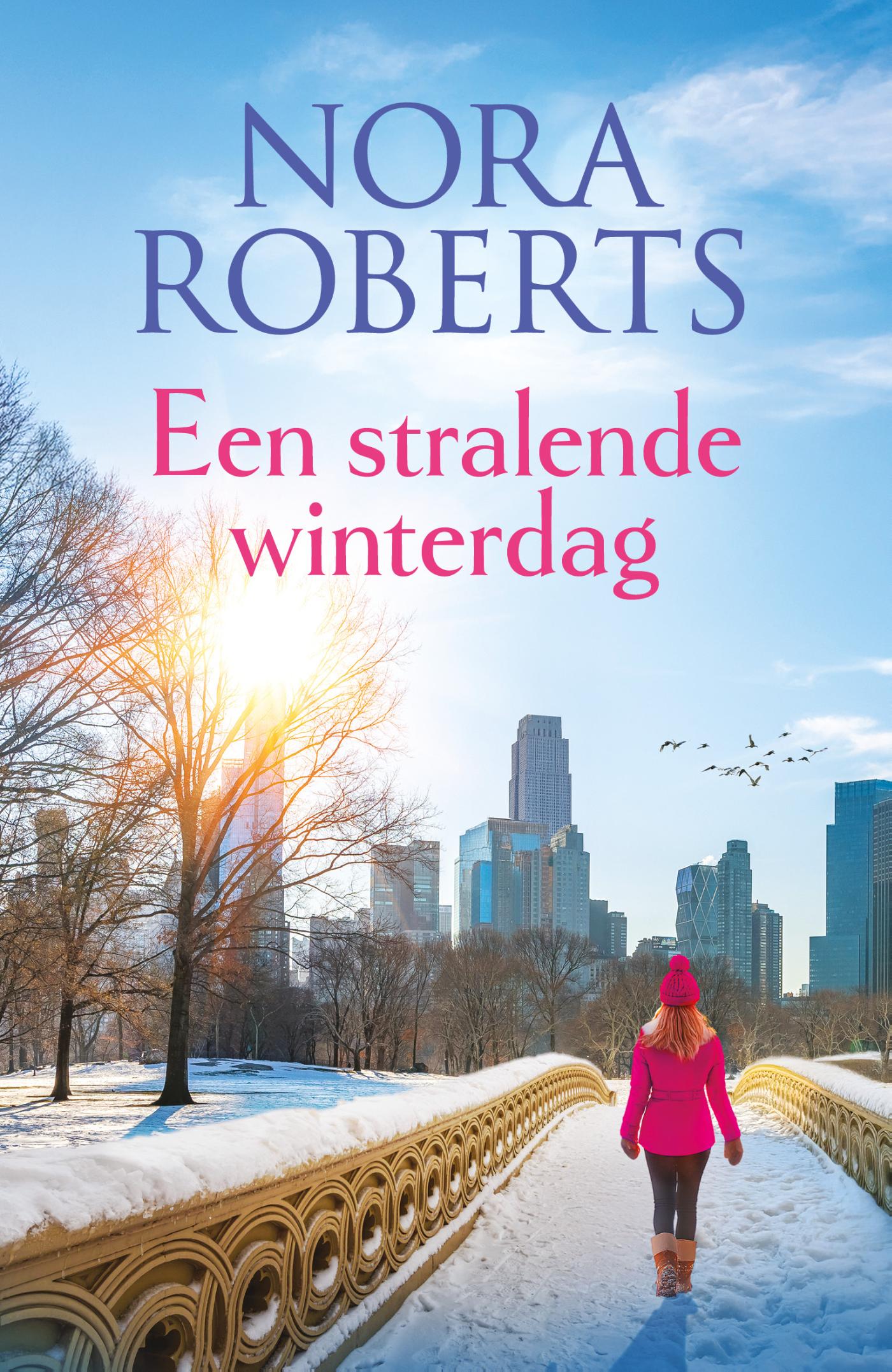 Omslag van Een stralende winterdag
