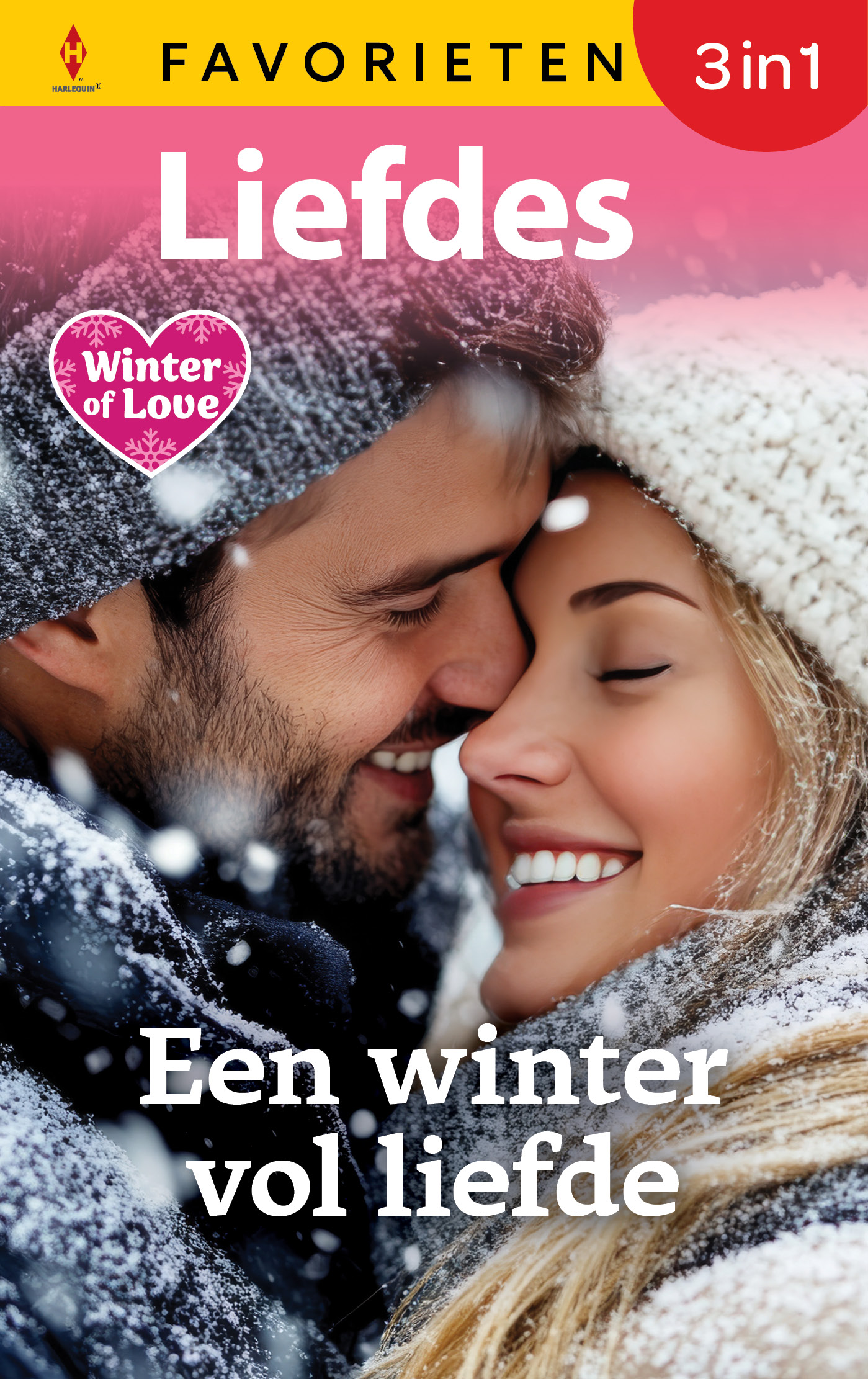 Omslag van Een winter vol liefde