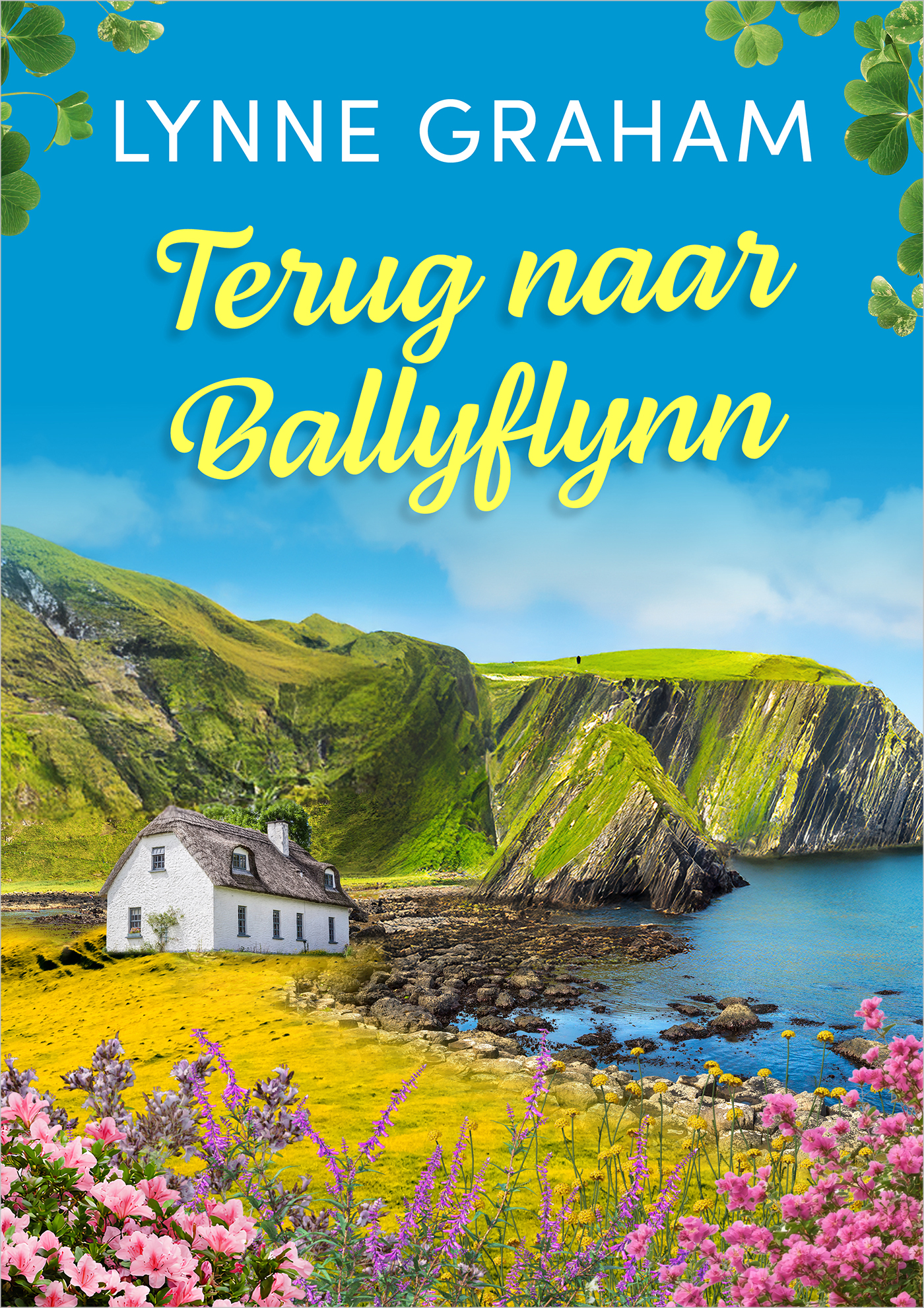 Omslag van Terug naar Ballyflynn