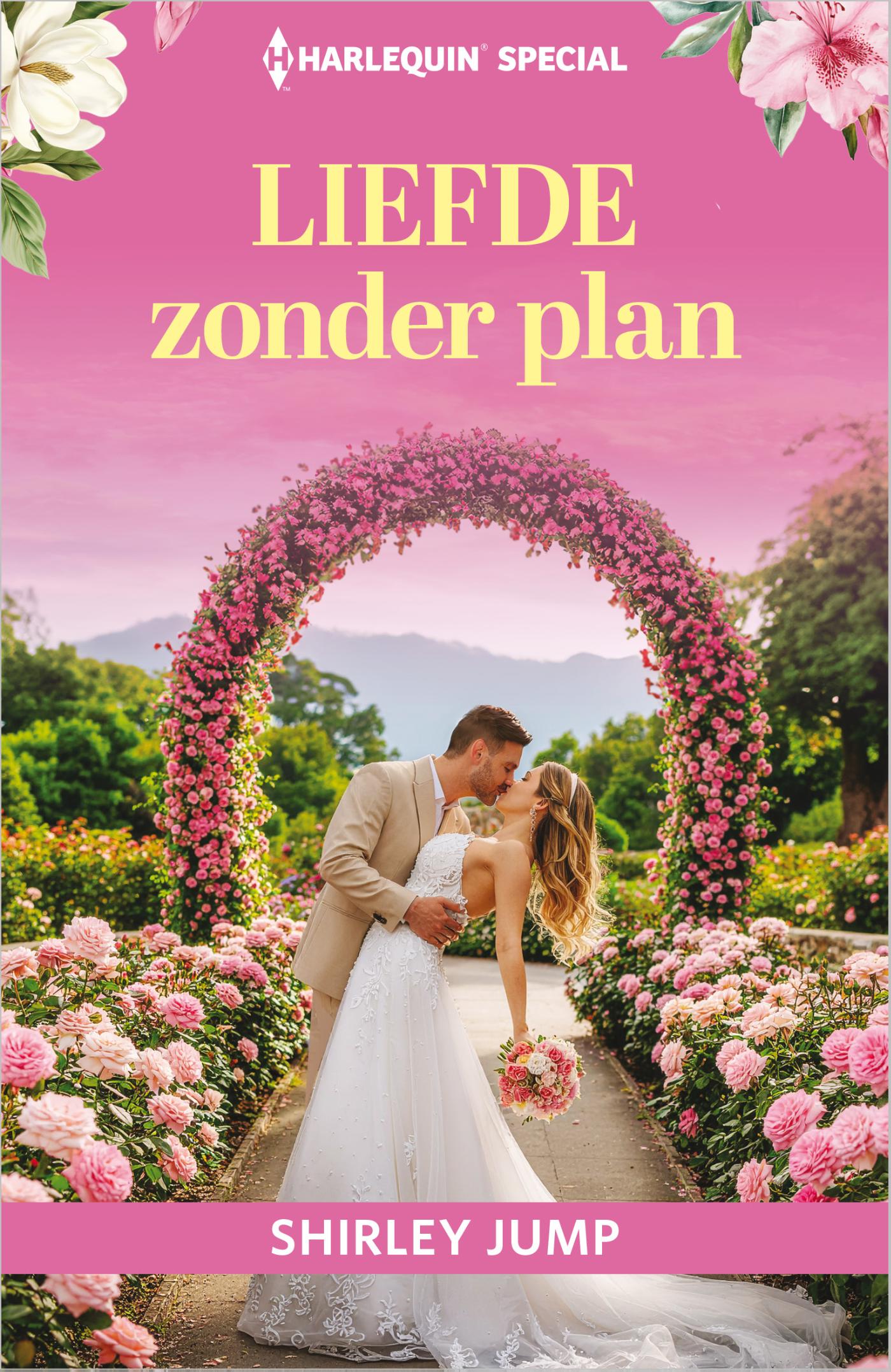 Omslag van Liefde zonder plan