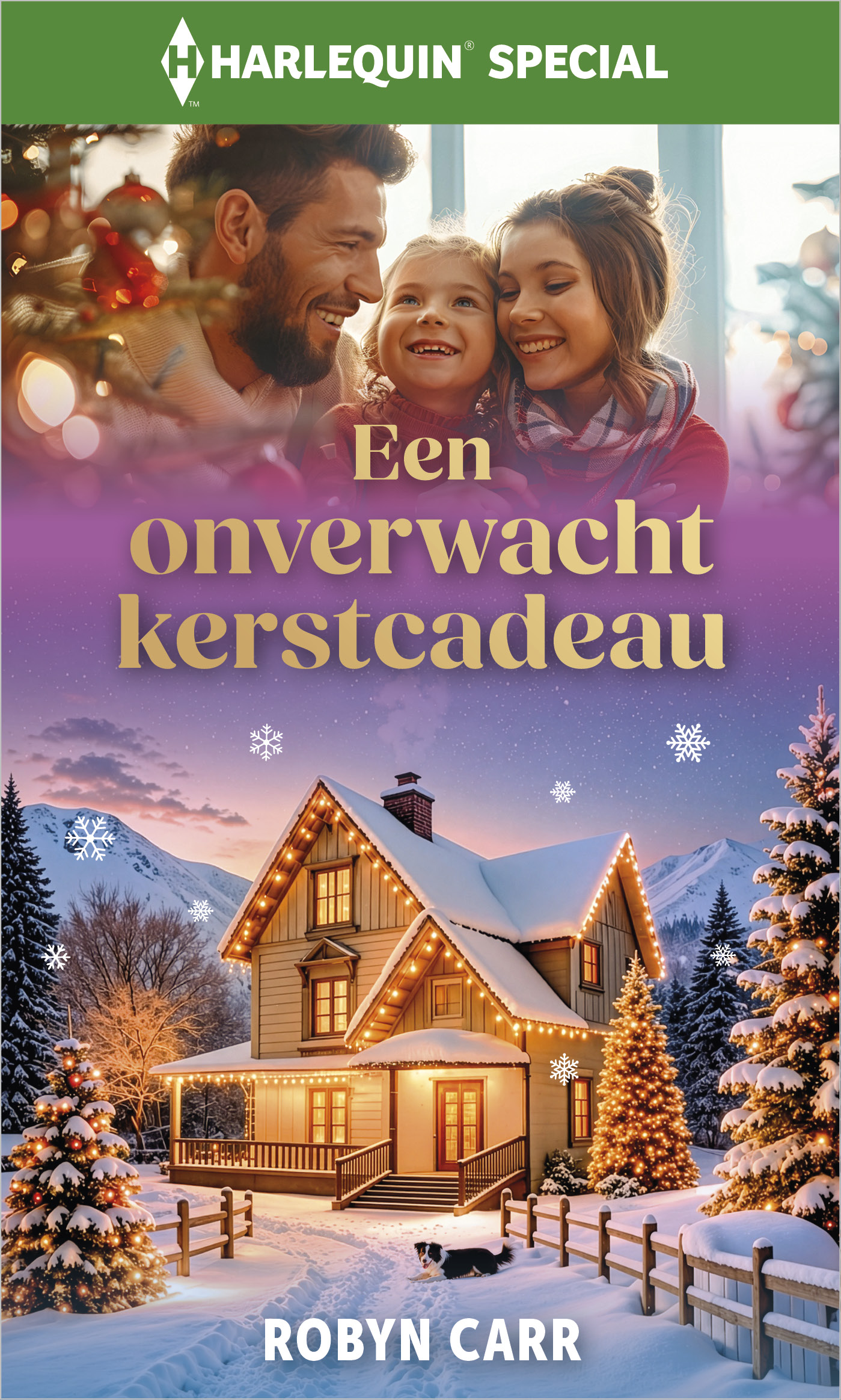 Omslag van Een onverwacht kerstcadeau
