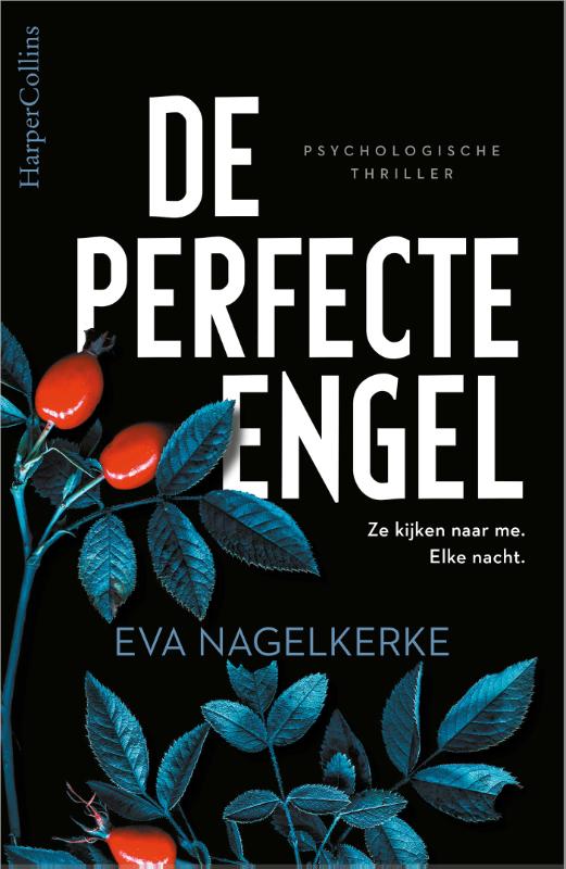 Omslag van De perfecte engel