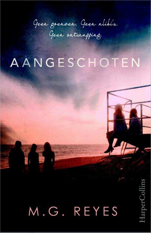 Omslag van Aangeschoten