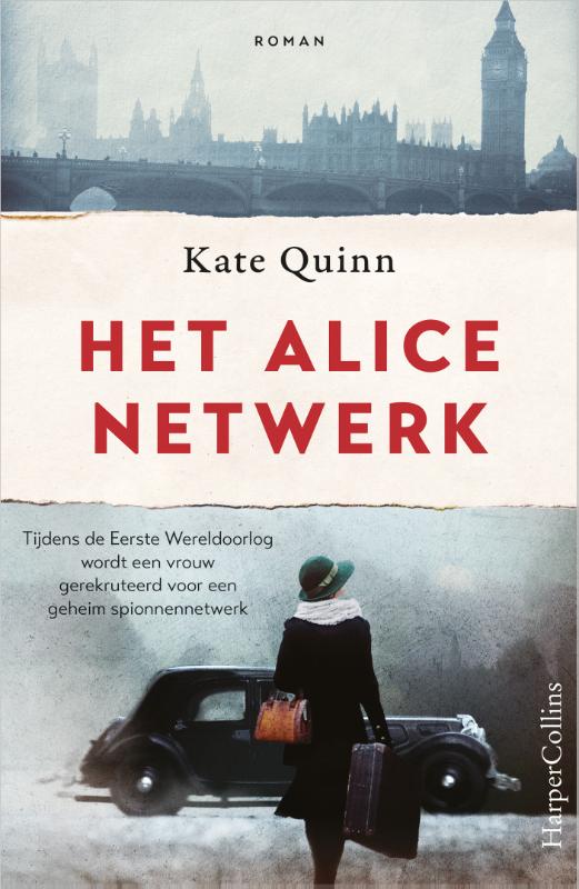 Omslag van Het Alice-netwerk