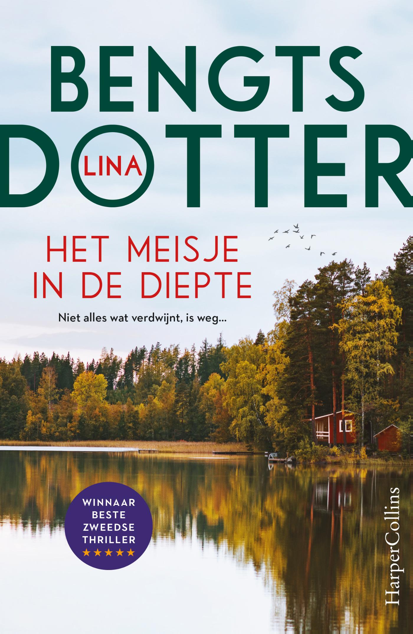 Omslag van Het meisje in de diepte