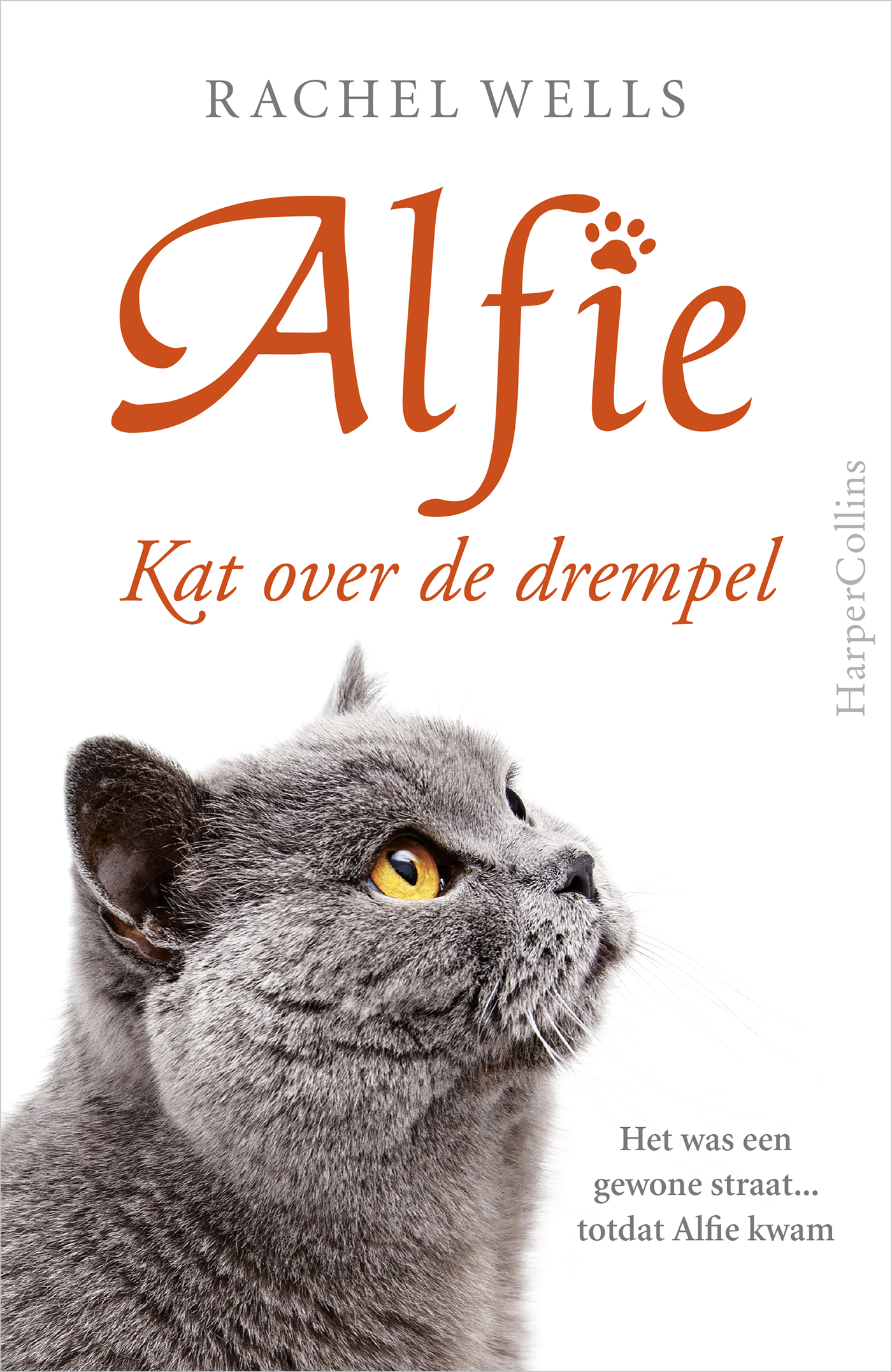 Omslag van Kat over de drempel