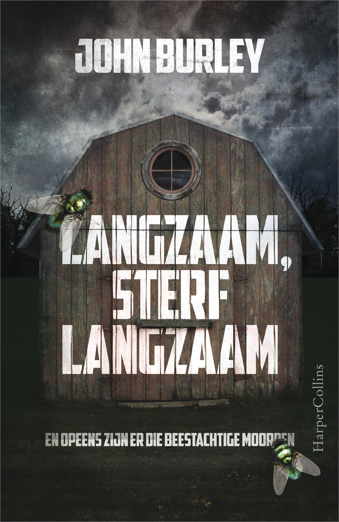 Omslag van Langzaam, sterf langzaam