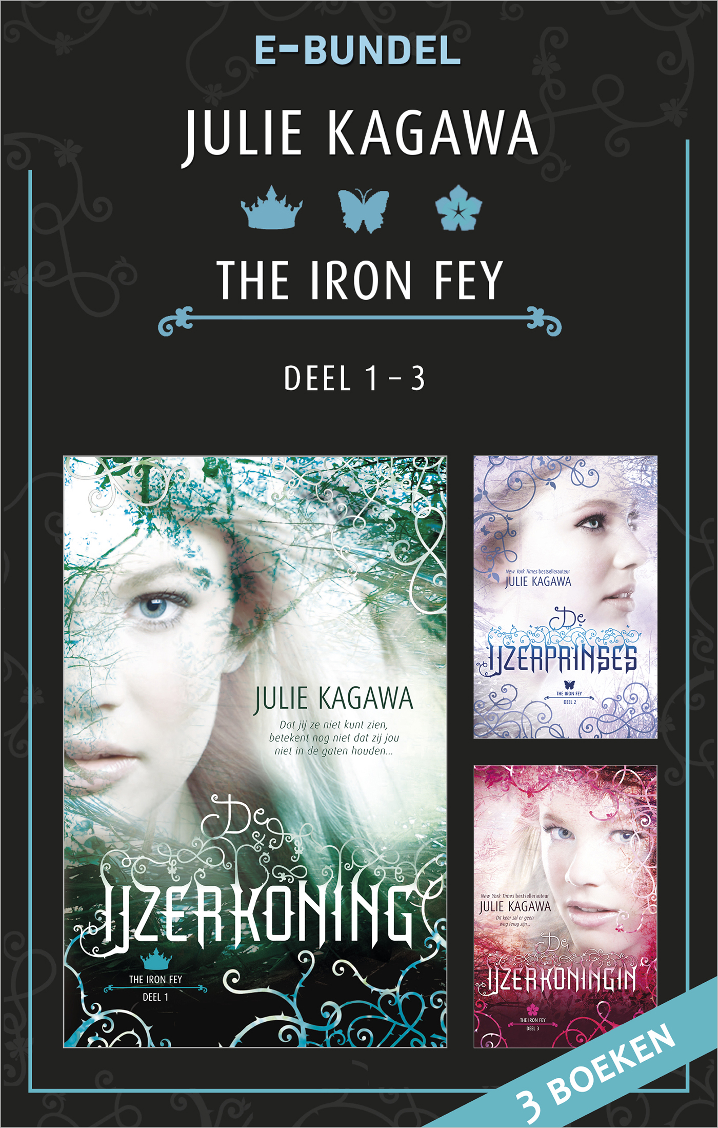 Omslag van The Iron Fey