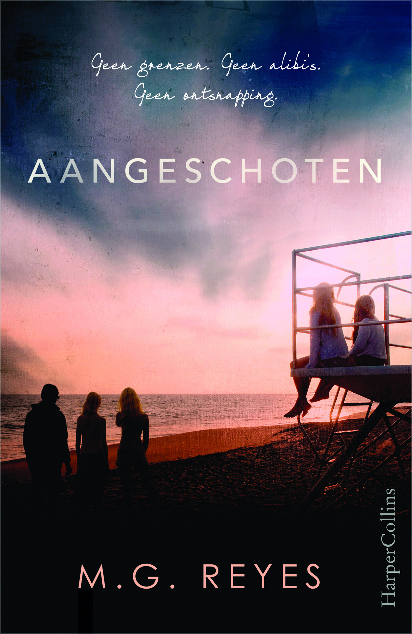 Omslag van Aangeschoten