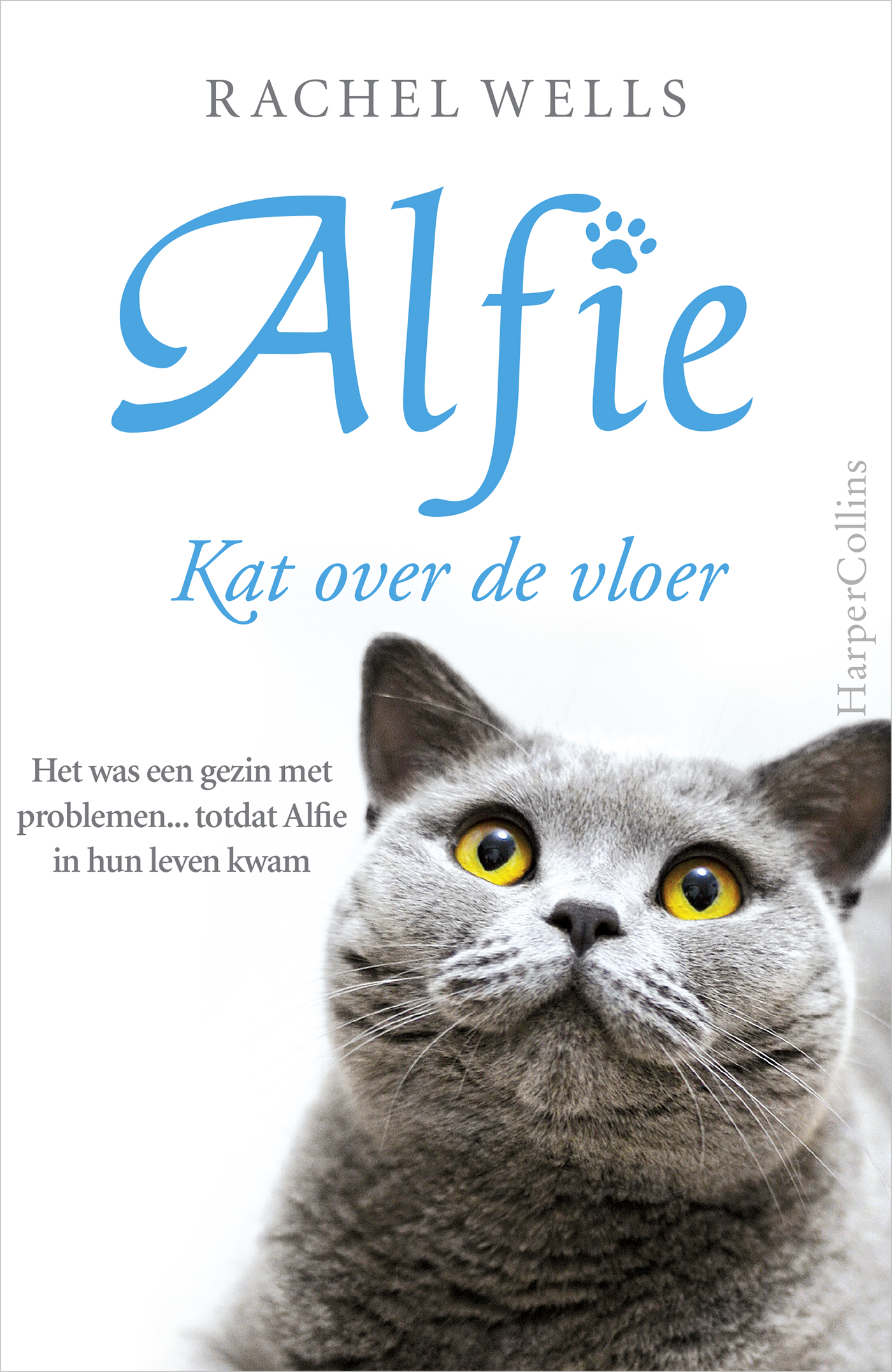 Omslag van Kat over de vloer
