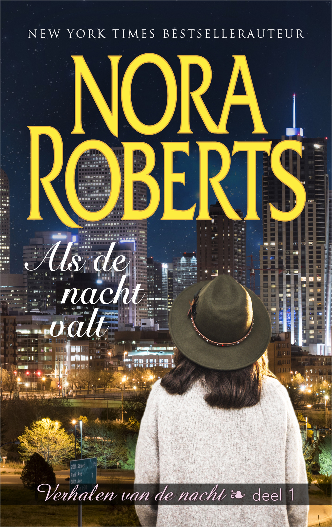 Omslag van Als de nacht valt