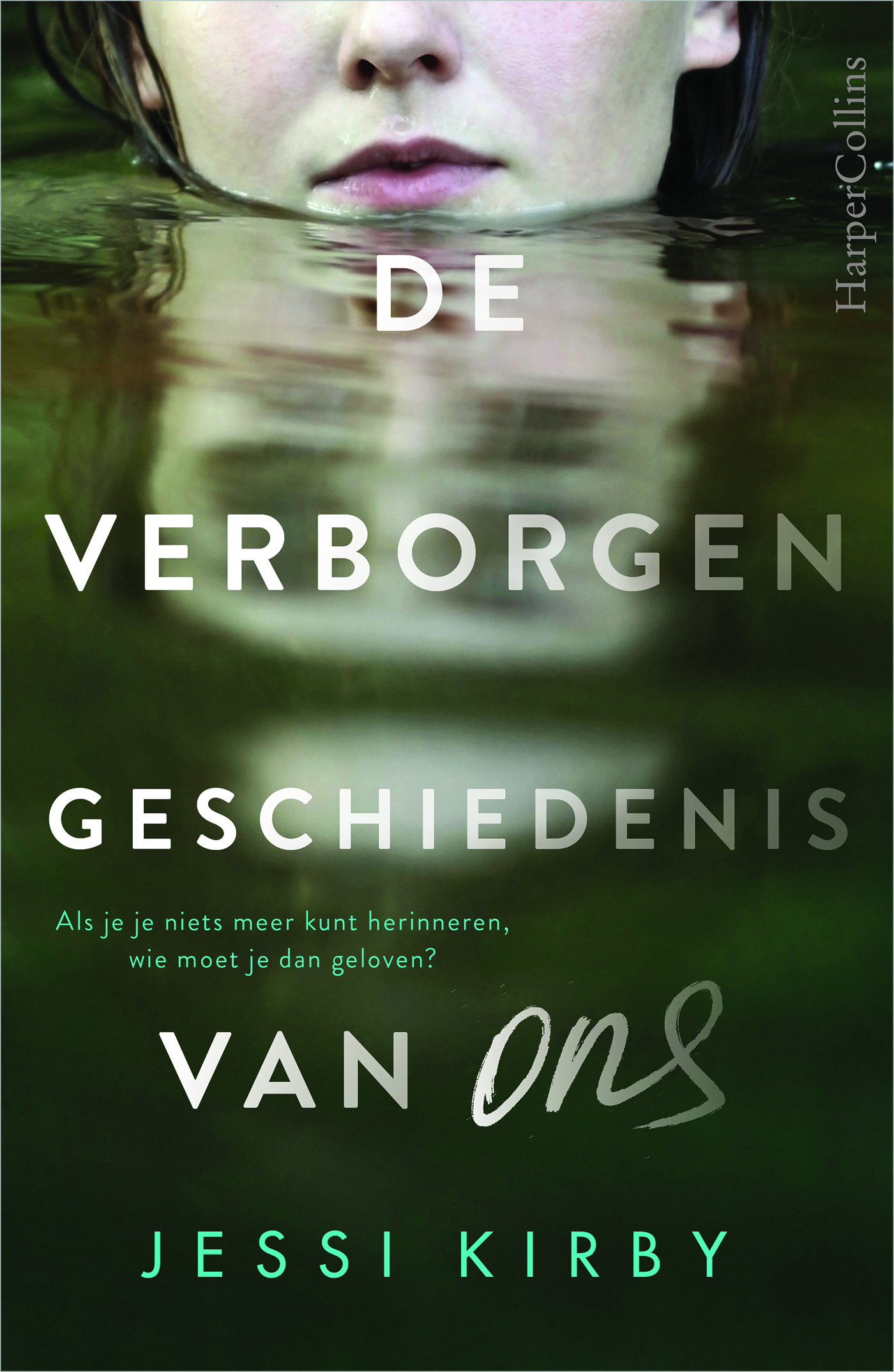 Omslag van De verborgen geschiedenis van ons