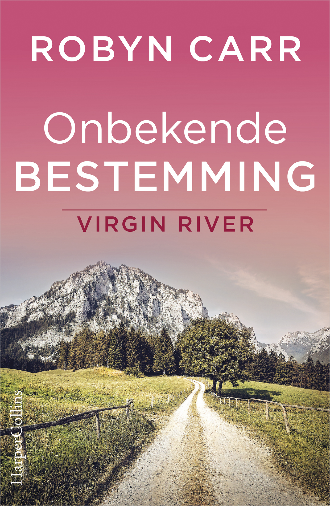 Omslag van Onbekende bestemming