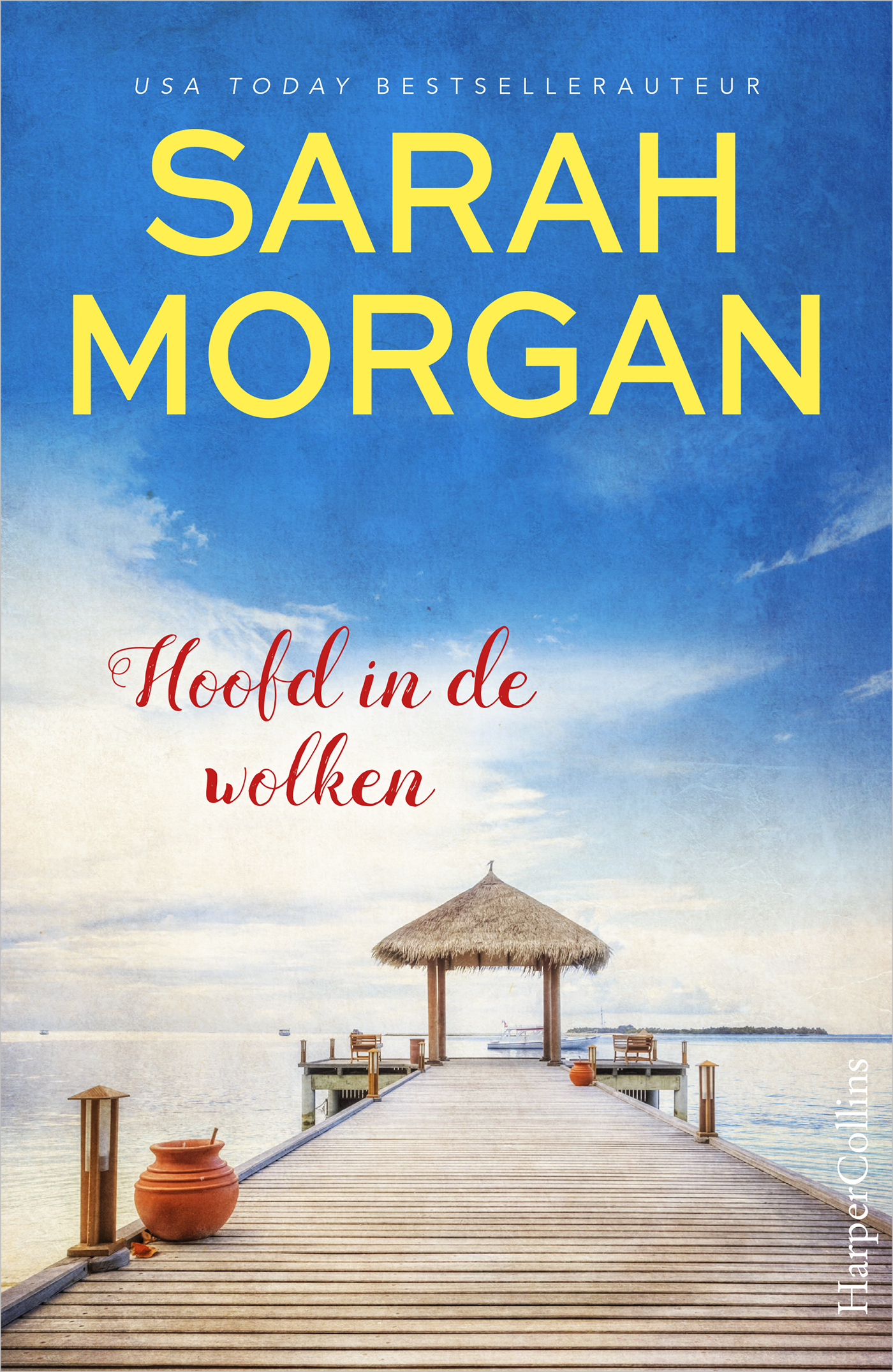 Omslag van Hoofd in de wolken