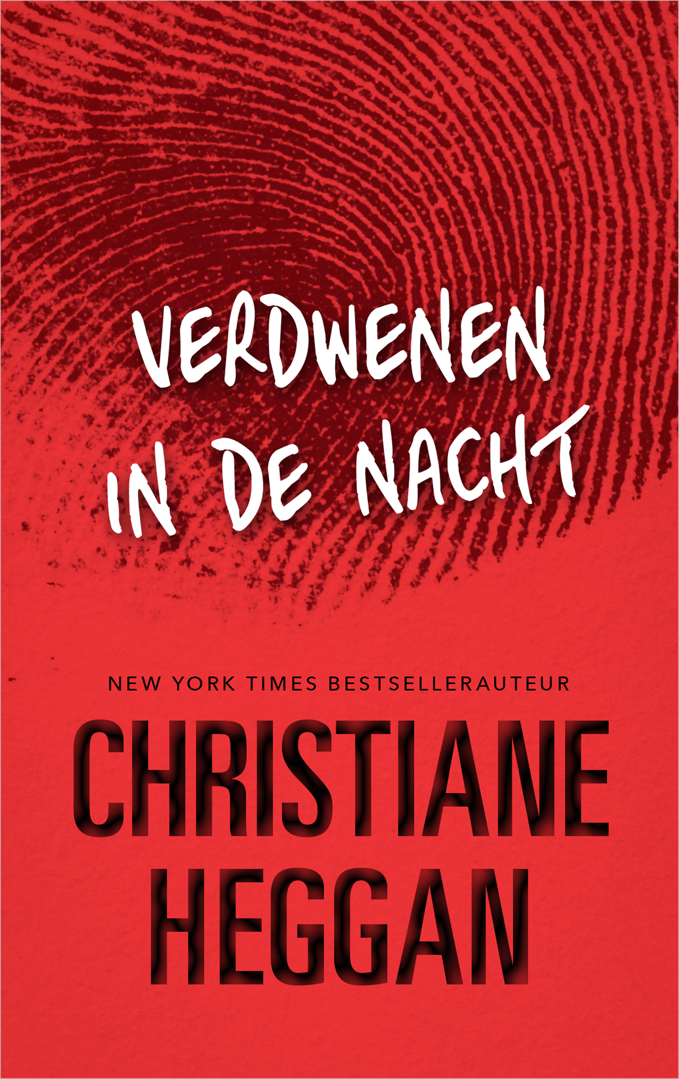 Omslag van Verdwenen in de nacht