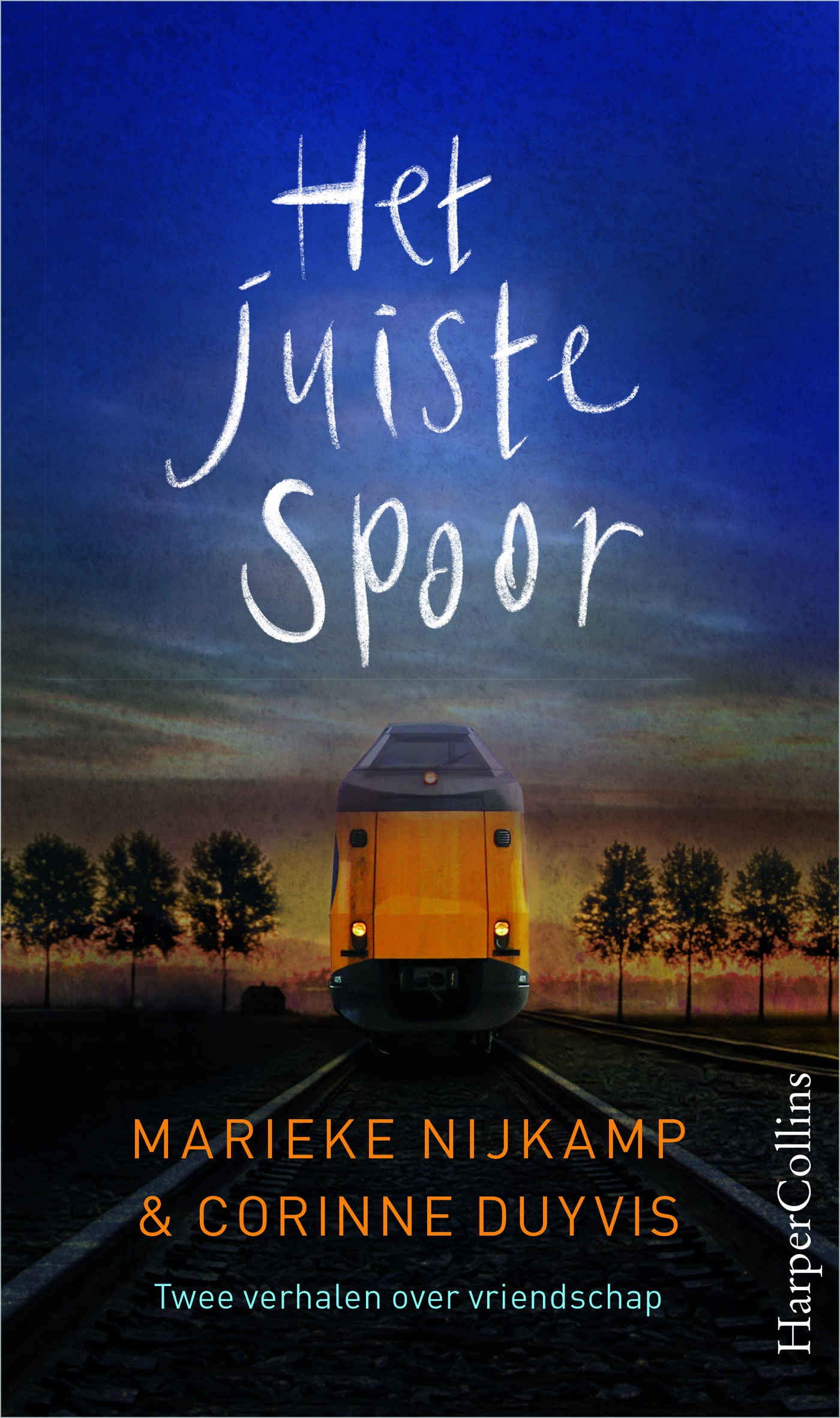 Omslag van Het juiste spoor