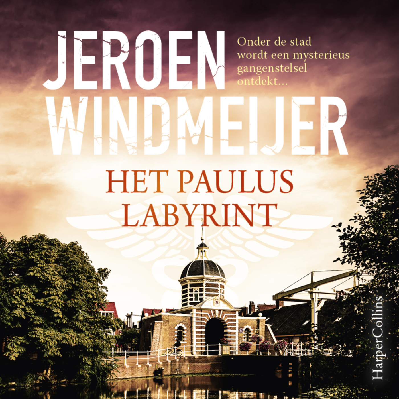 Omslag van Het Pauluslabyrint