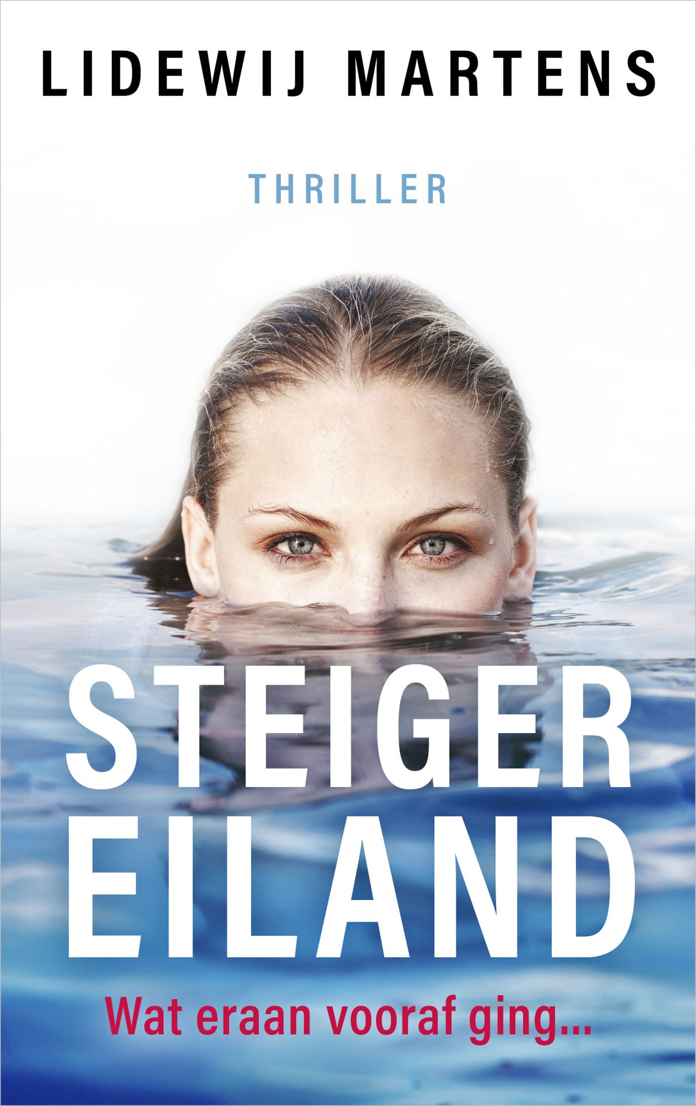 Omslag van Steigereiland Wat eraan vooraf ging…
