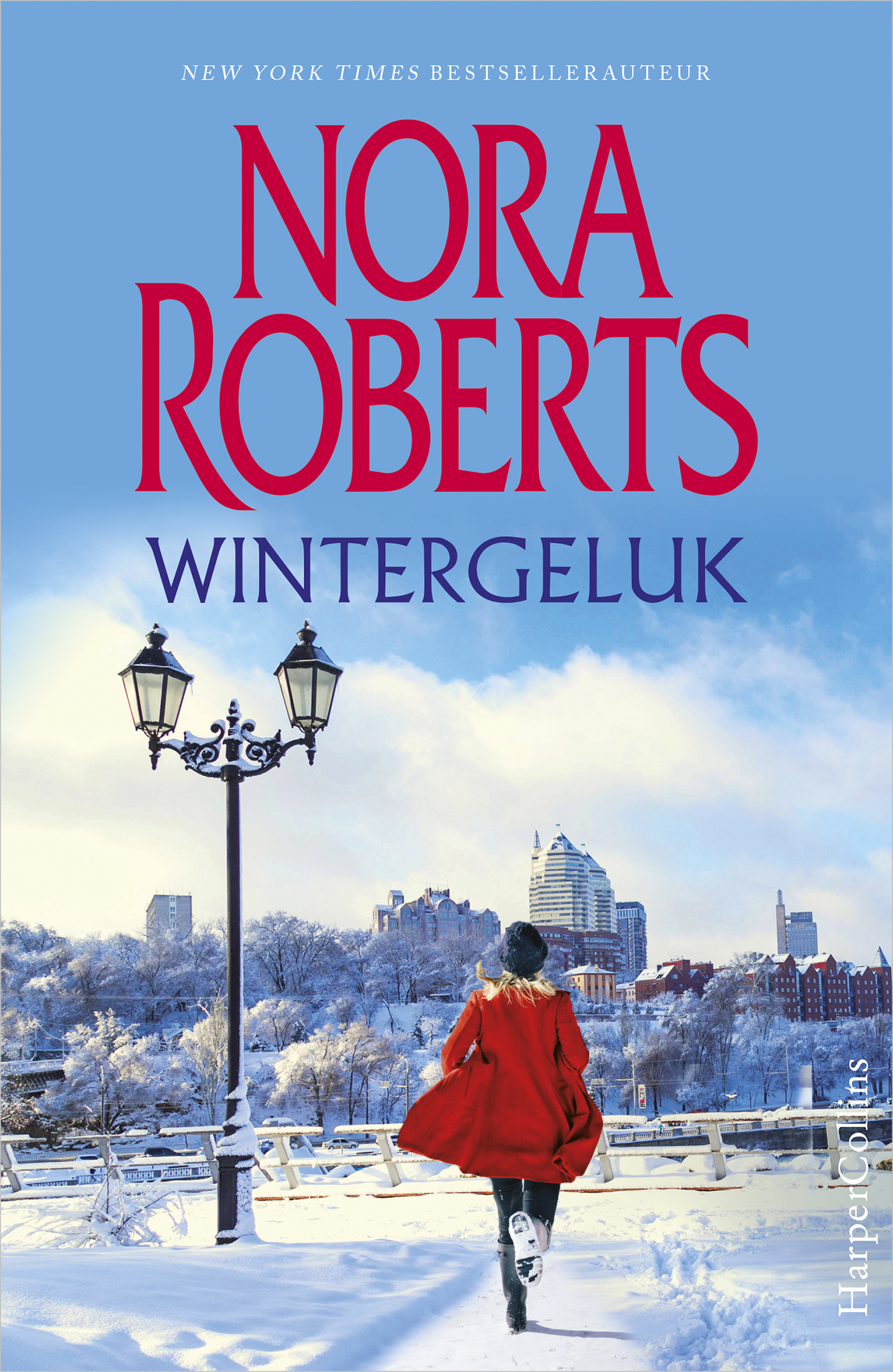 Omslag van Wintergeluk