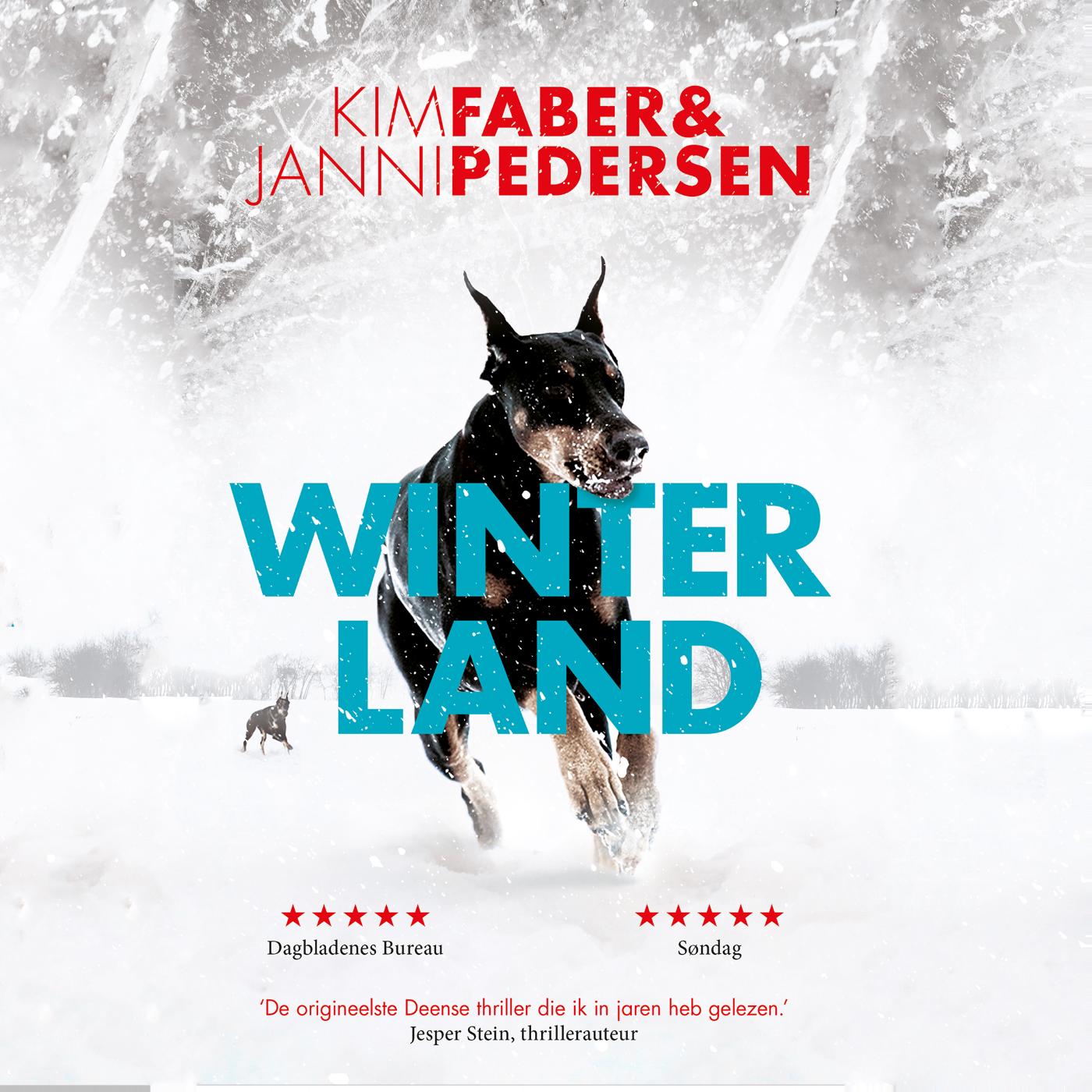 Omslag van Winterland