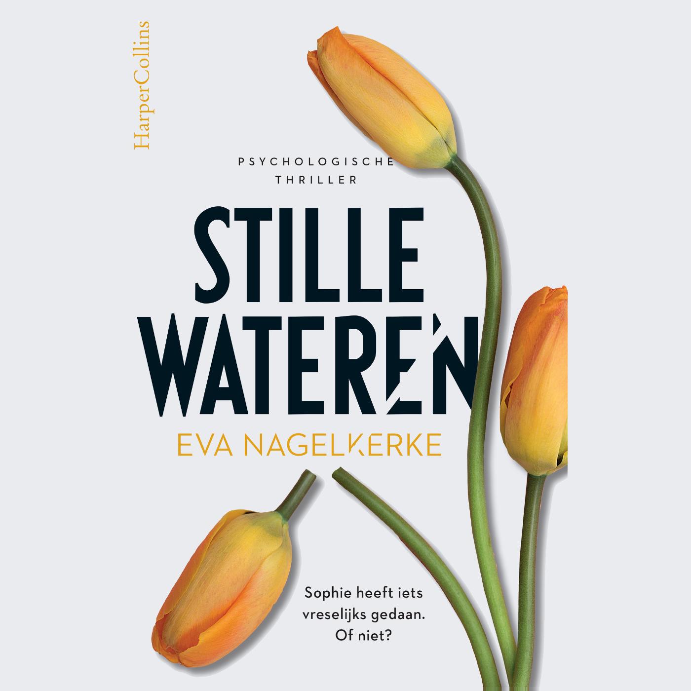 Omslag van Stille wateren