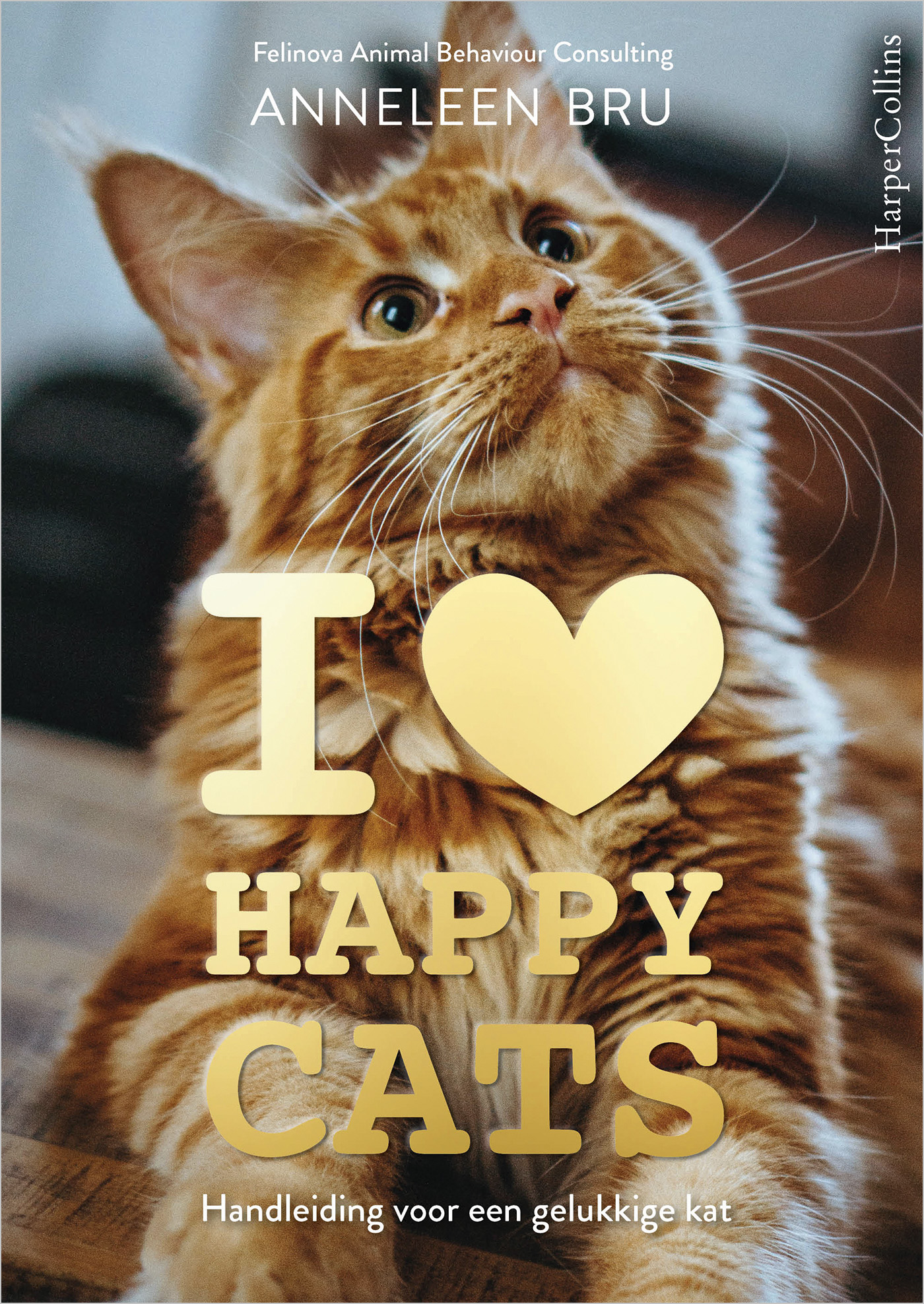 Omslag van I Love Happy Cats