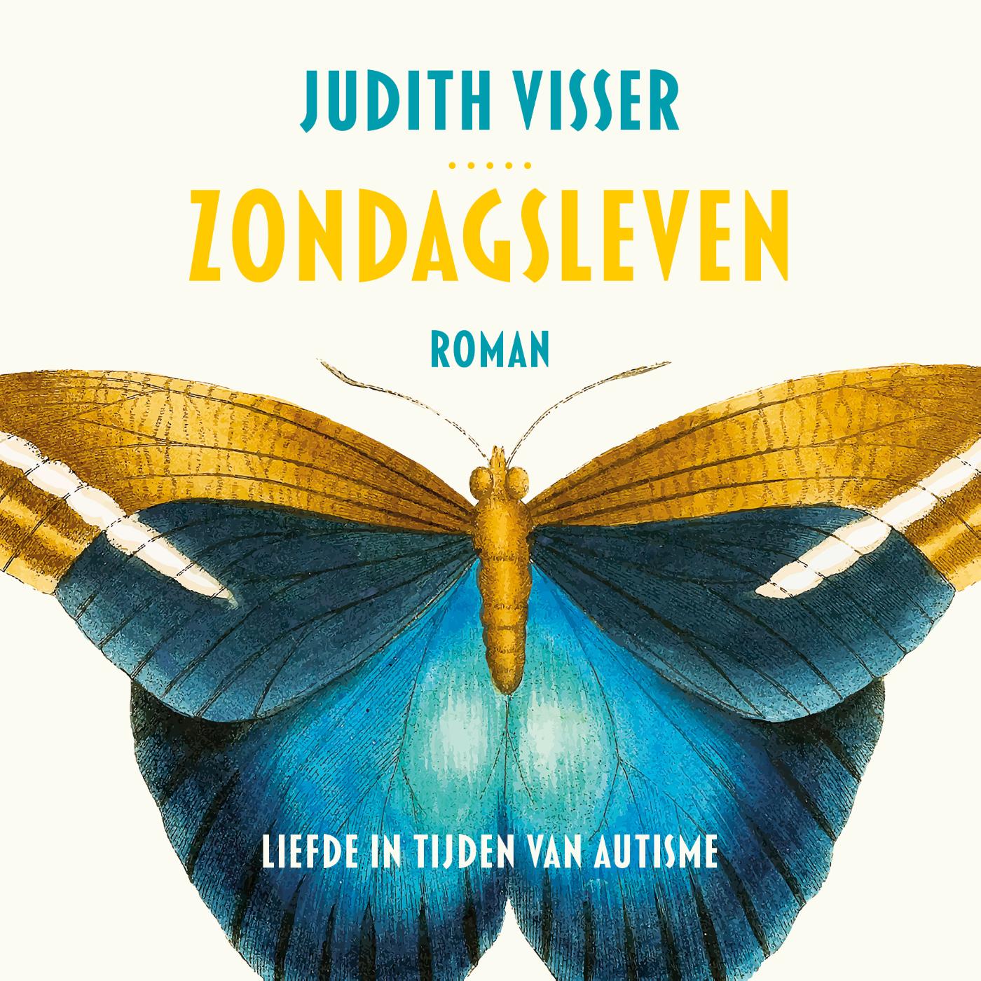 Omslag van Zondagsleven