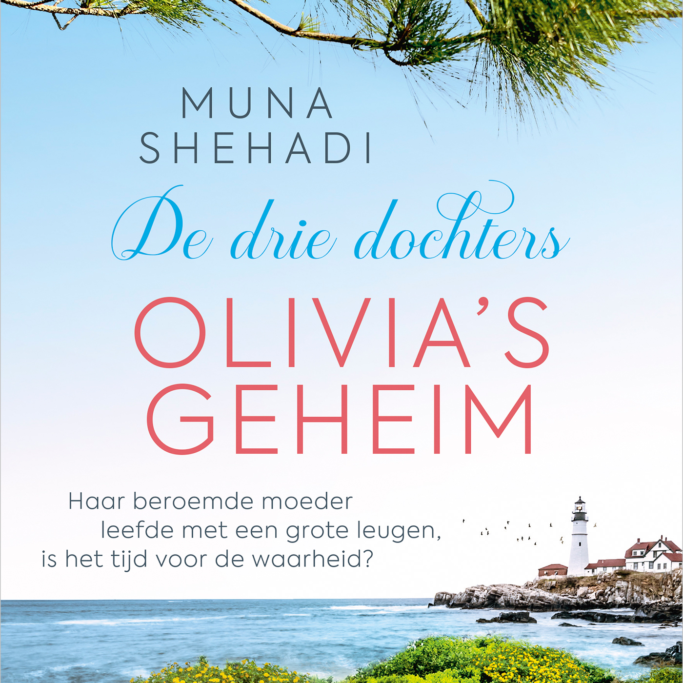 Omslag van Olivia's geheim
