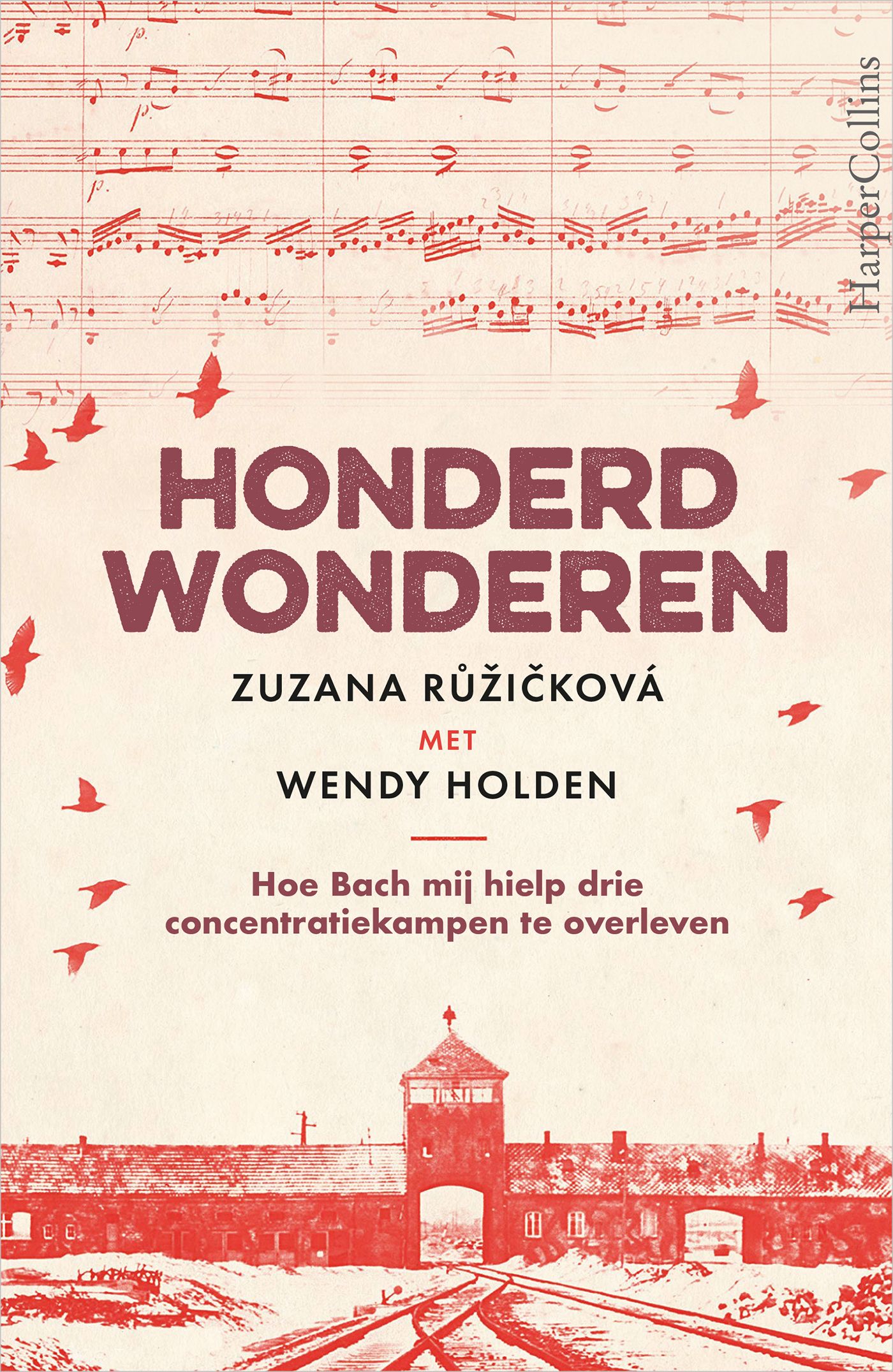 Omslag van Honderd wonderen