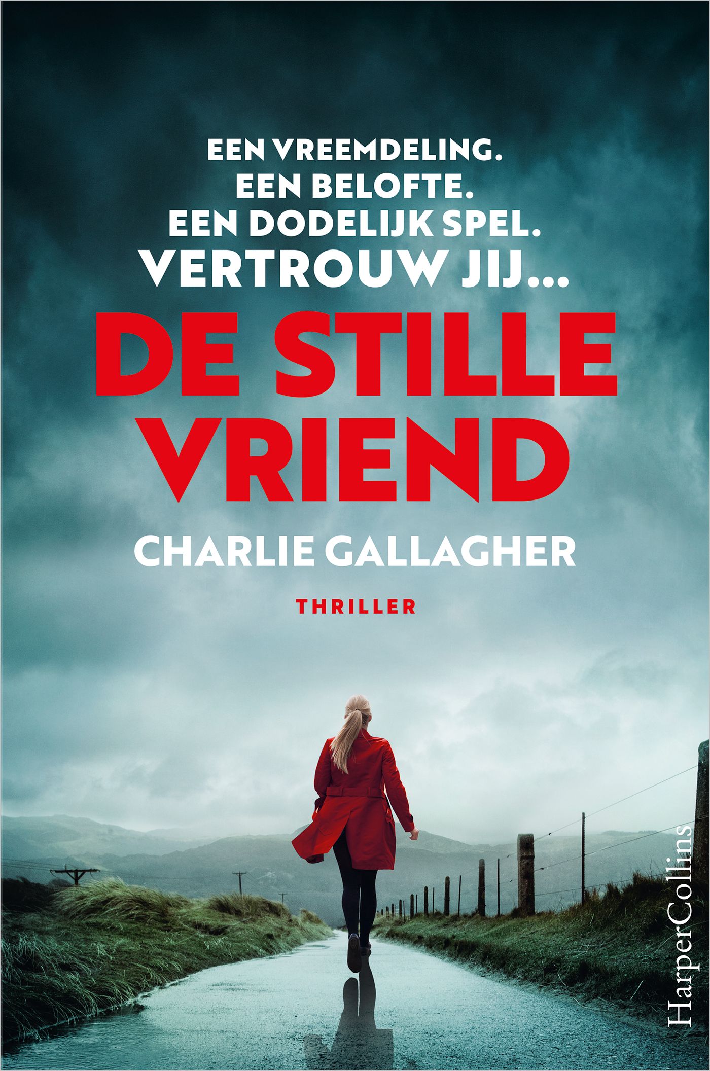Omslag van De stille vriend