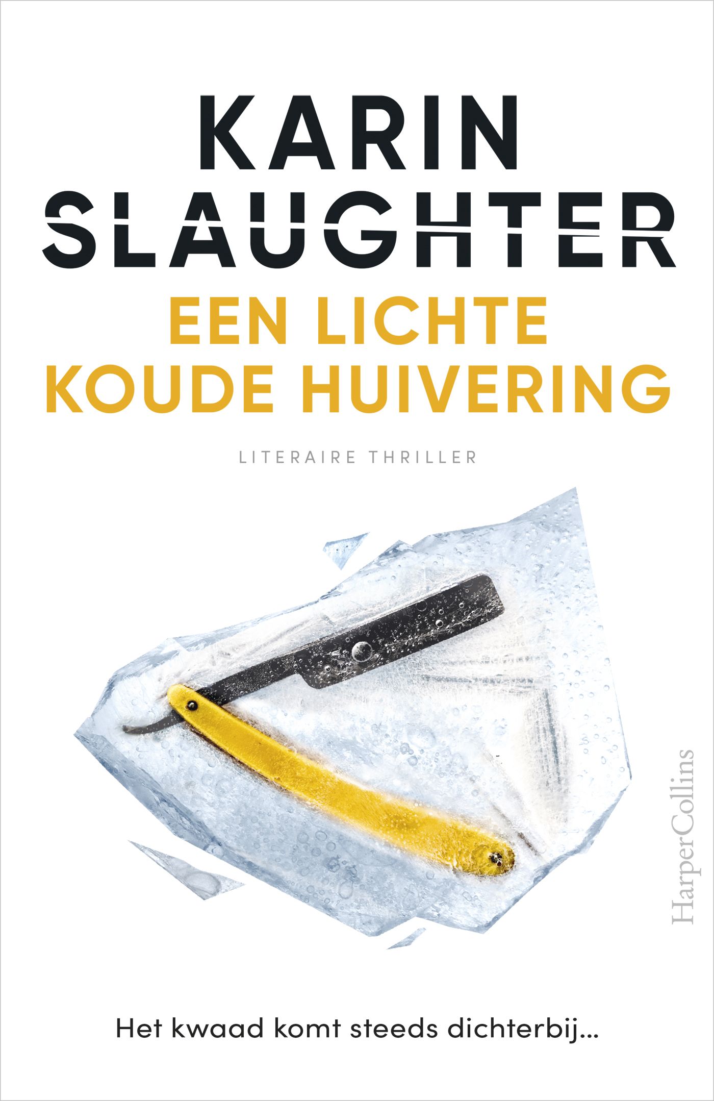 Omslag van Een lichte koude huivering