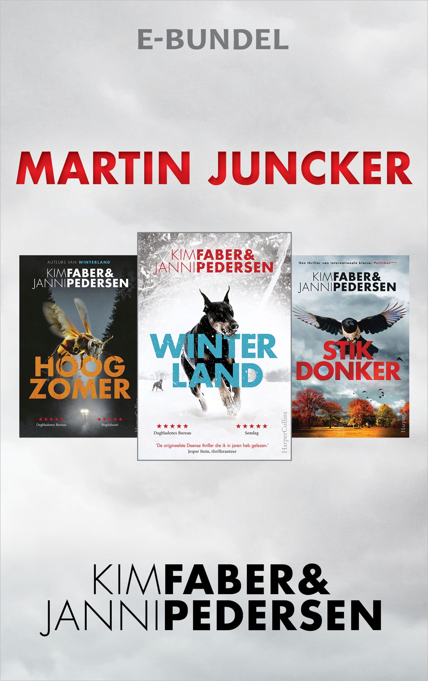 Omslag van Martin Juncker