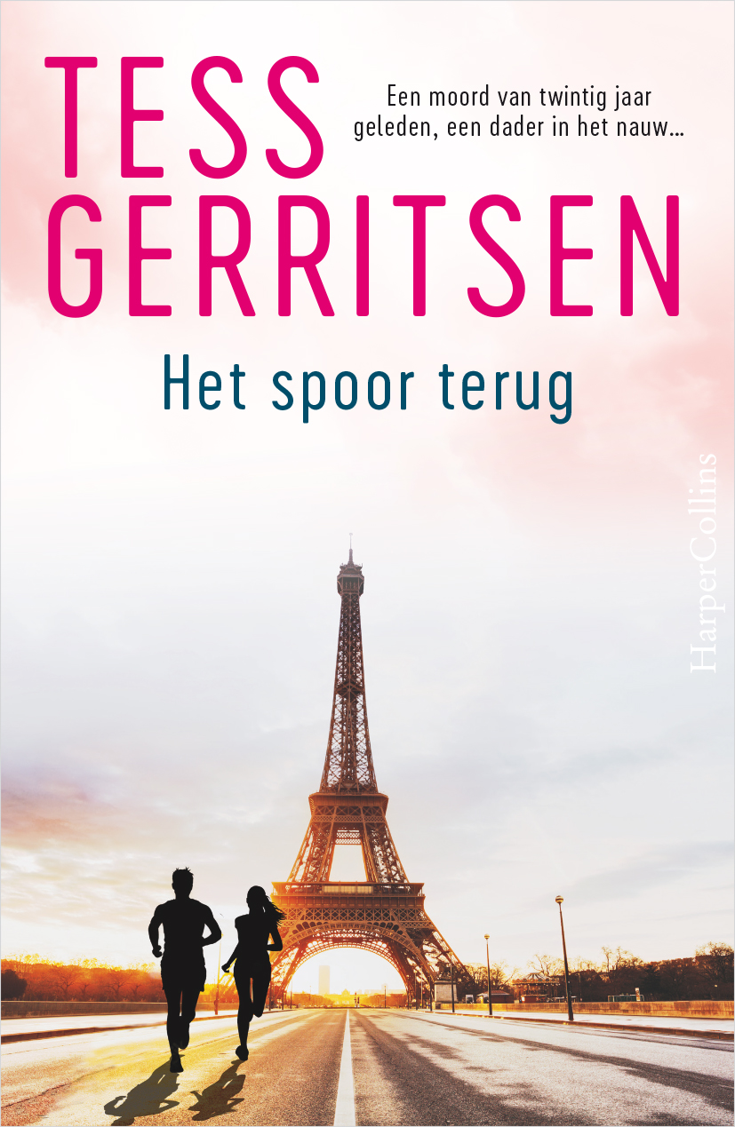 Omslag van Het spoor terug